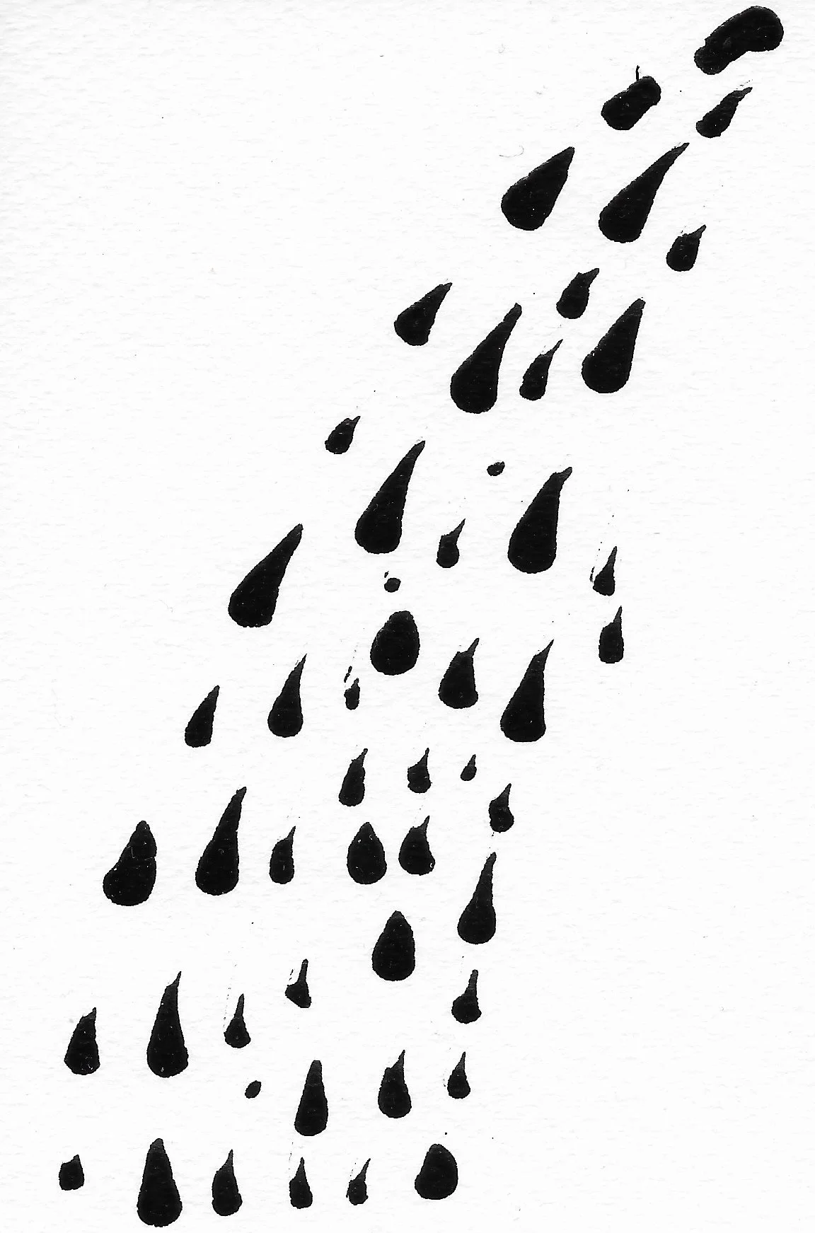 Shower 14.JPG