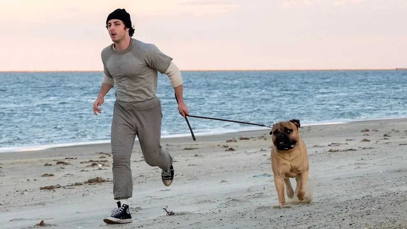 &lsquo;I Play Rocky&rsquo; Trailer Recreates Sylvester Stallone&rsquo;s Fight to Become Rocky Balboa

The first trailer for Amazon MGM Studios&rsquo; I Play Rocky stars Anthony Ippolito as a young Sylvester Stallone fighting to write and lead the ori