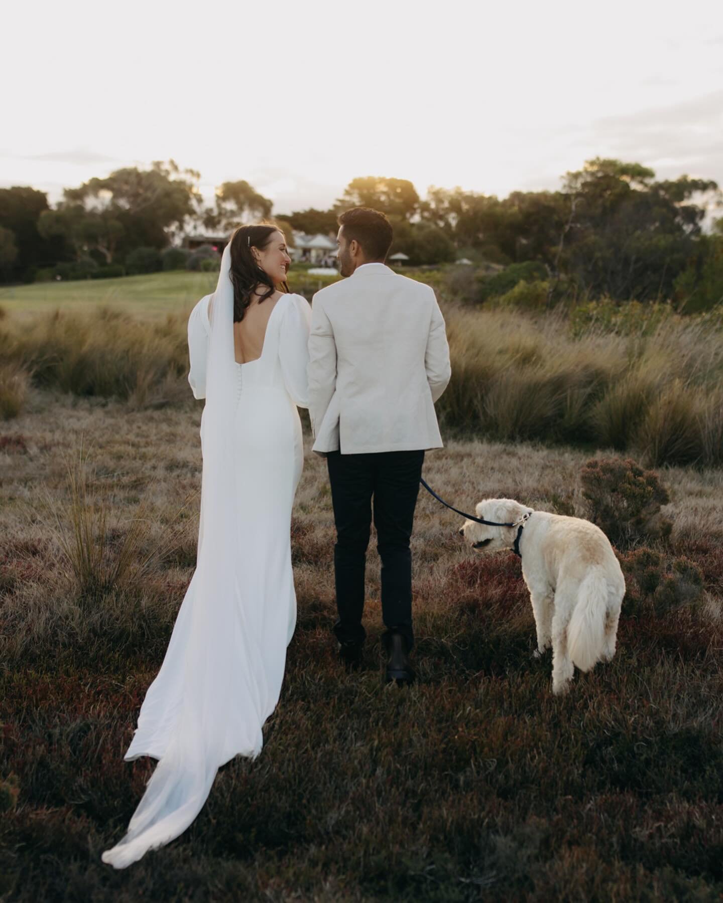 What a handsome threesome🫠🥰 Phoebe &amp; Ruwan (and let&rsquo;s be honest, Bentley too) got married on Saturday @basilsfarm and it was magical✨ This is my third wedding with Phoebe&rsquo;s family (photographed her sister and brothers weddings too!)