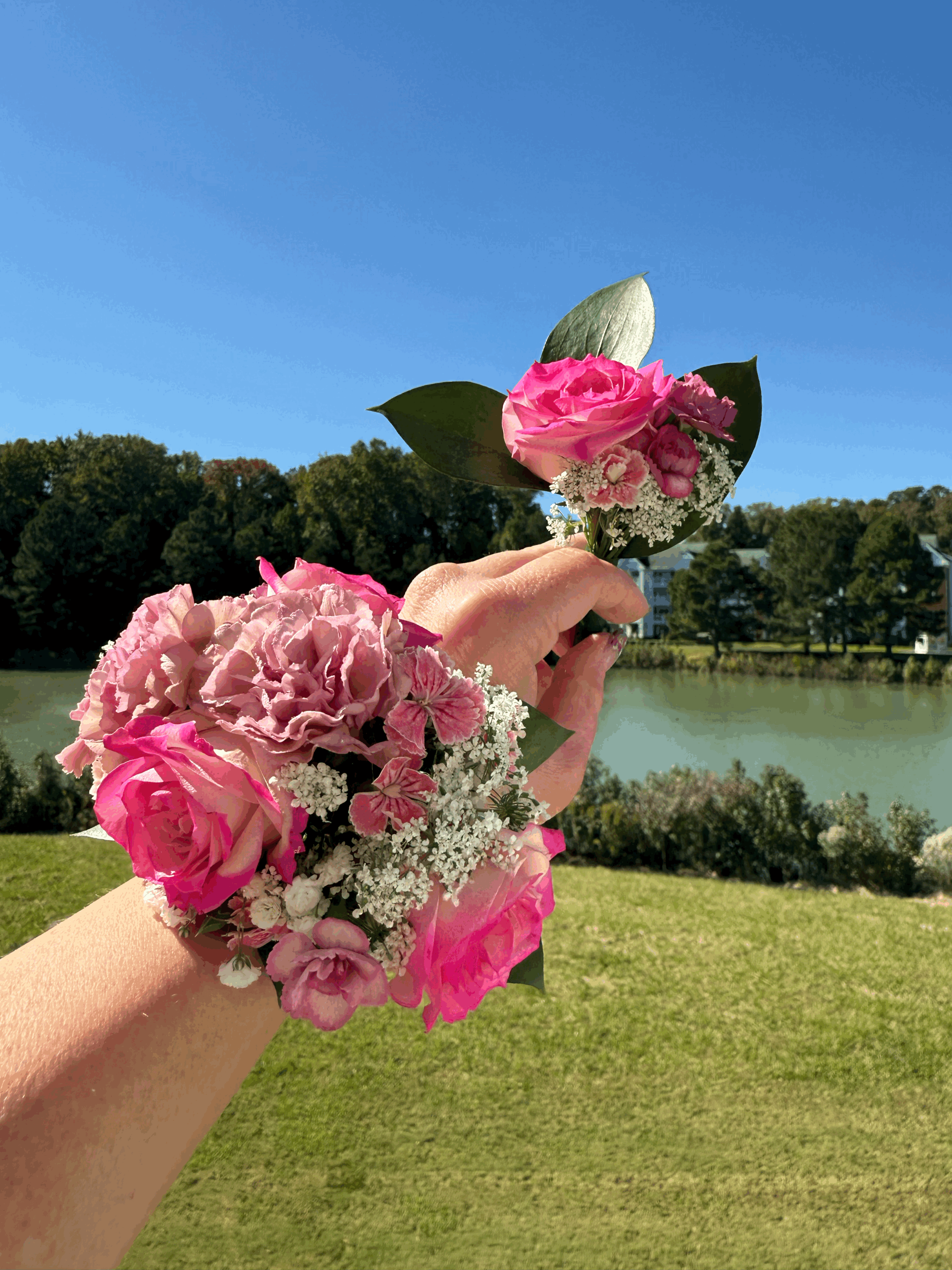 tempImageuRTJhn.gif