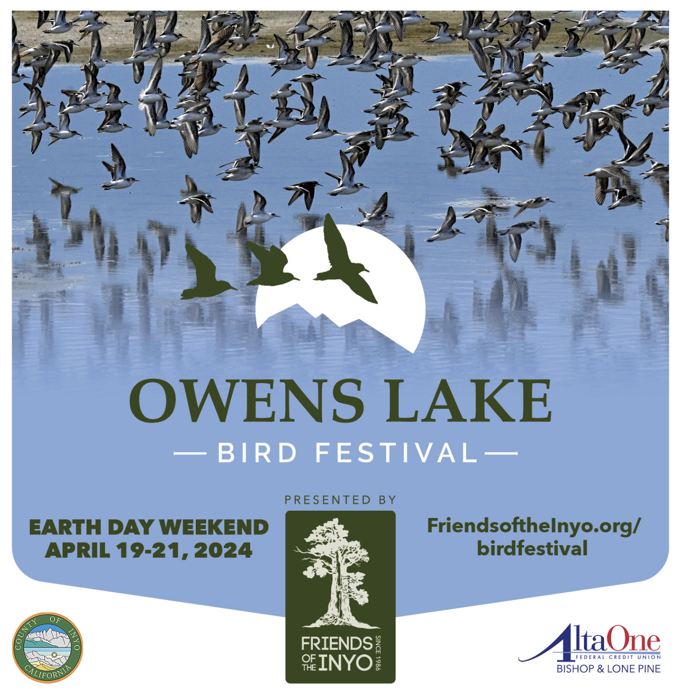 Owens Lake Bird Festival