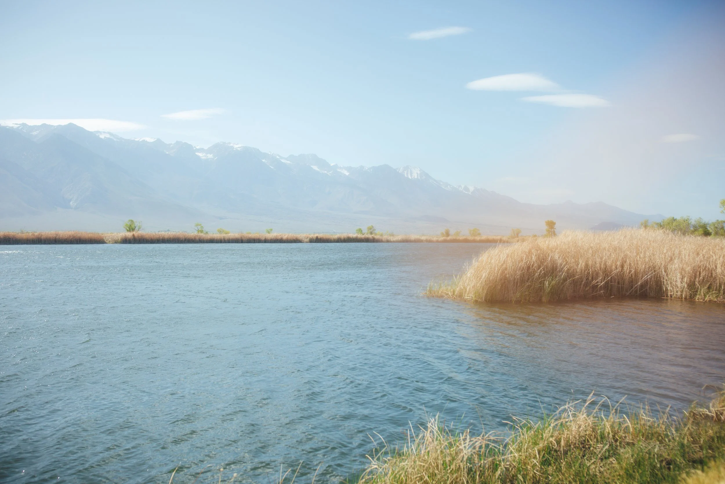 How did spring water meetings conclude? Read our op-ed!