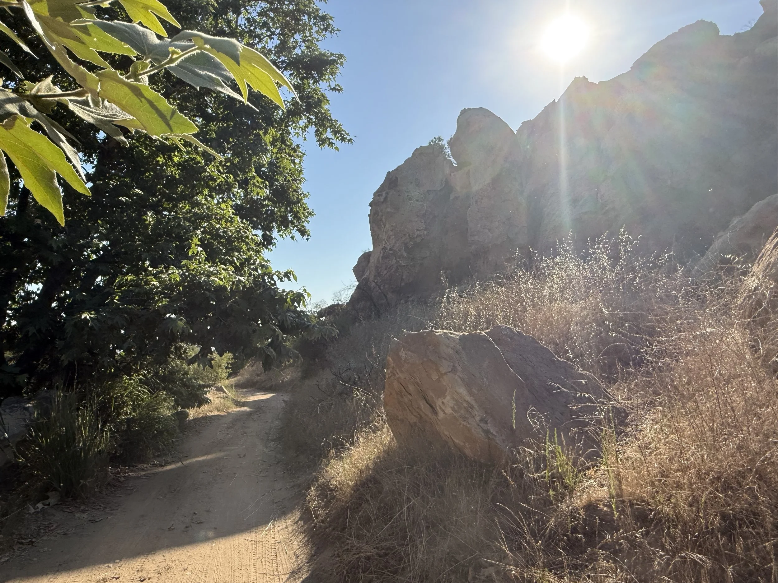 10-Filmland-Coastal Legacy House-Grounds-10.jpeg