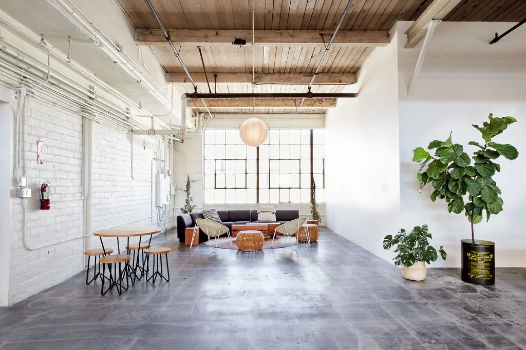 17-Filmland-Frankson-22c copy.jpg