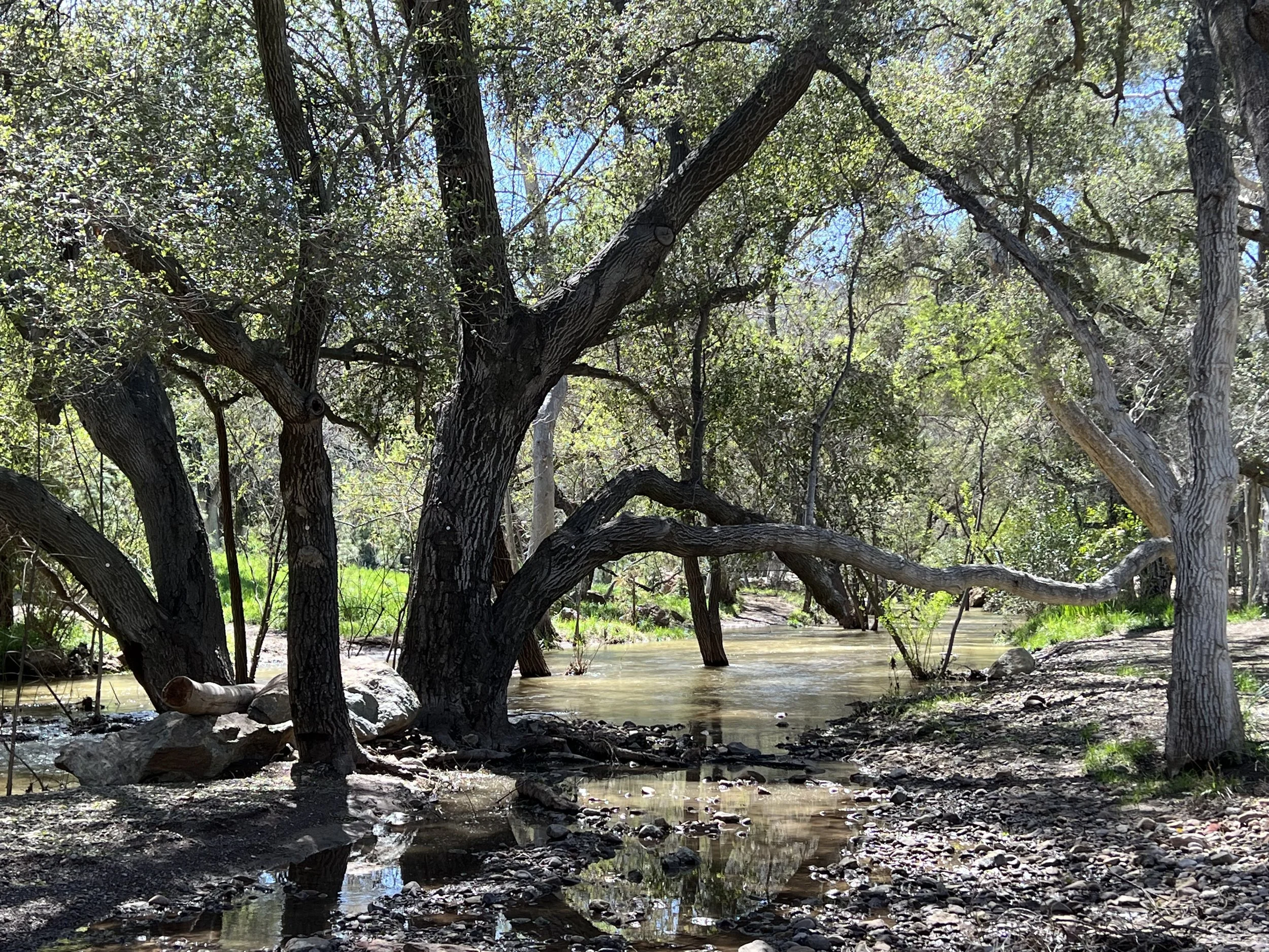 Filmland-Golden Summit-opengrounds-7d.jpeg