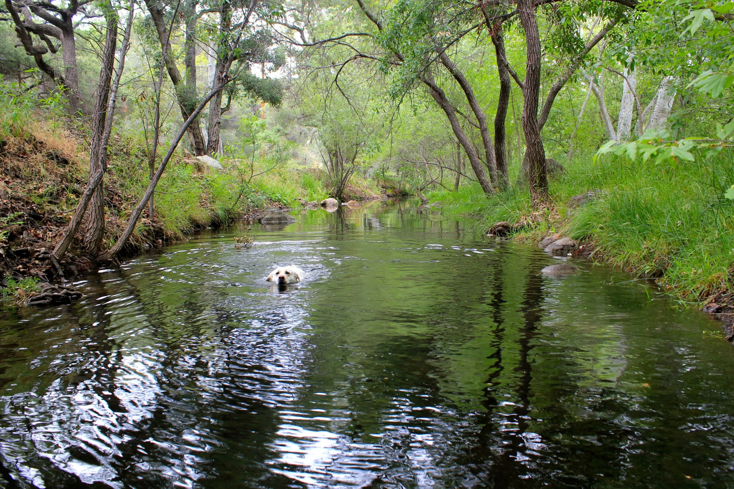 outdoor film location Los Angeles, exterior filming location 30-mile zone, ranch film location Los Angeles, open terrain film location LA, rolling hills filming location Southern California, automotive film location Los Angeles, aerial filming locati