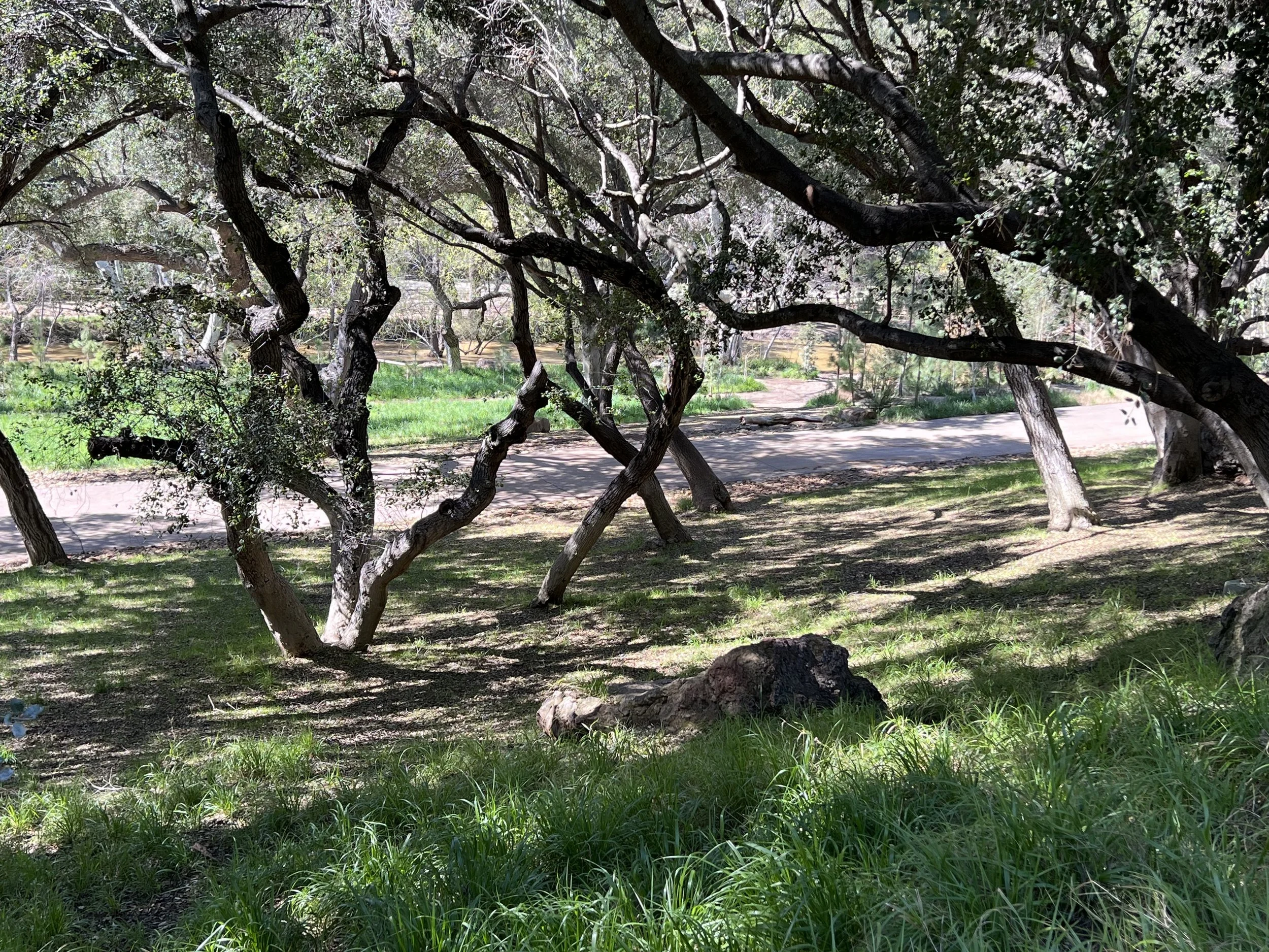 Filmland-Golden Summit-Cabin-24.jpeg