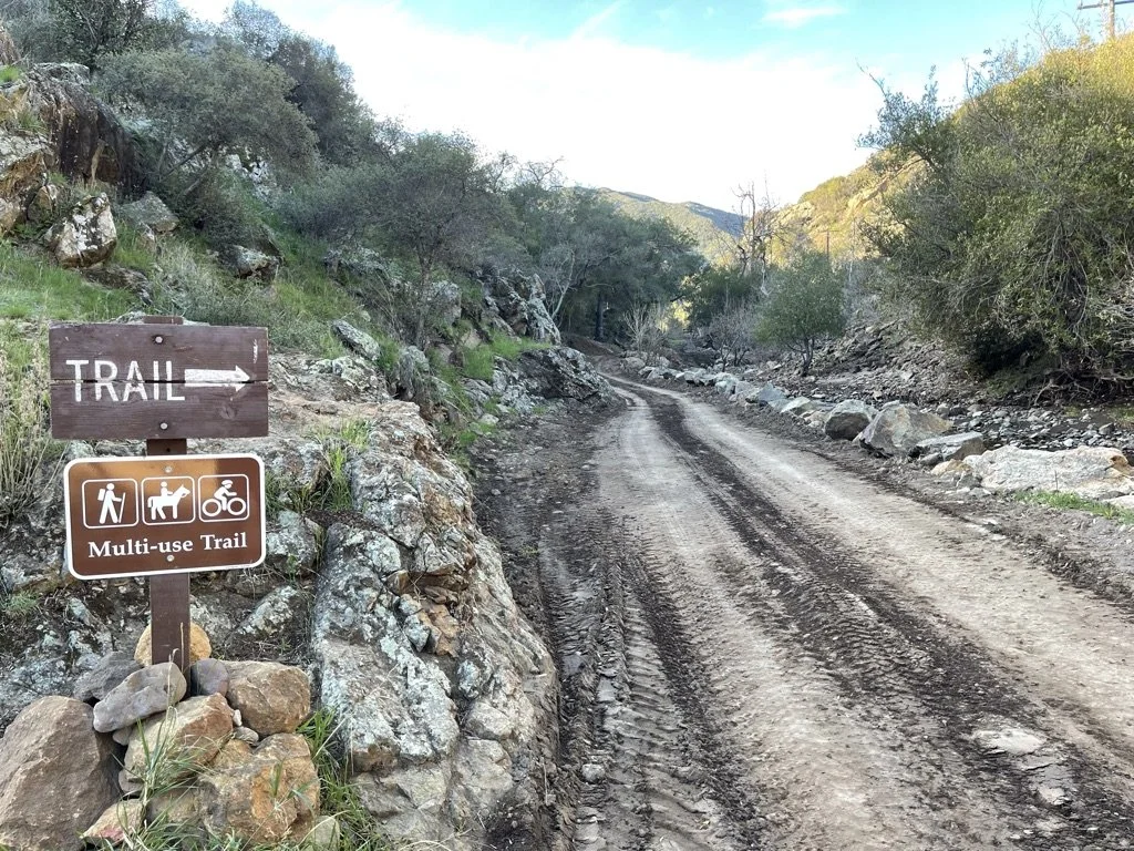 Filmland-Golden Summit-opengrounds-1g.jpeg