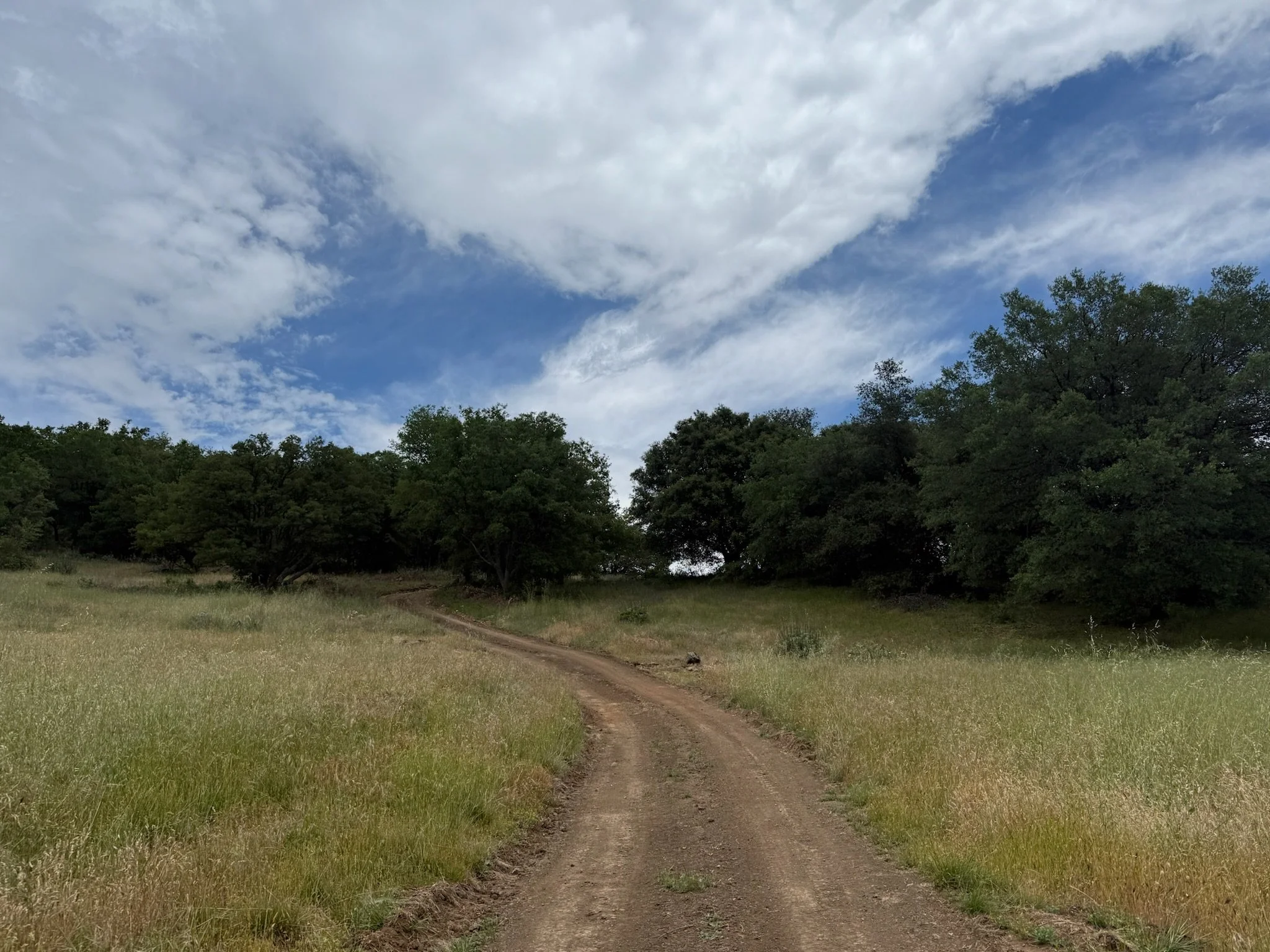 Filmland-RCRanch-landscape-trail-2.JPG