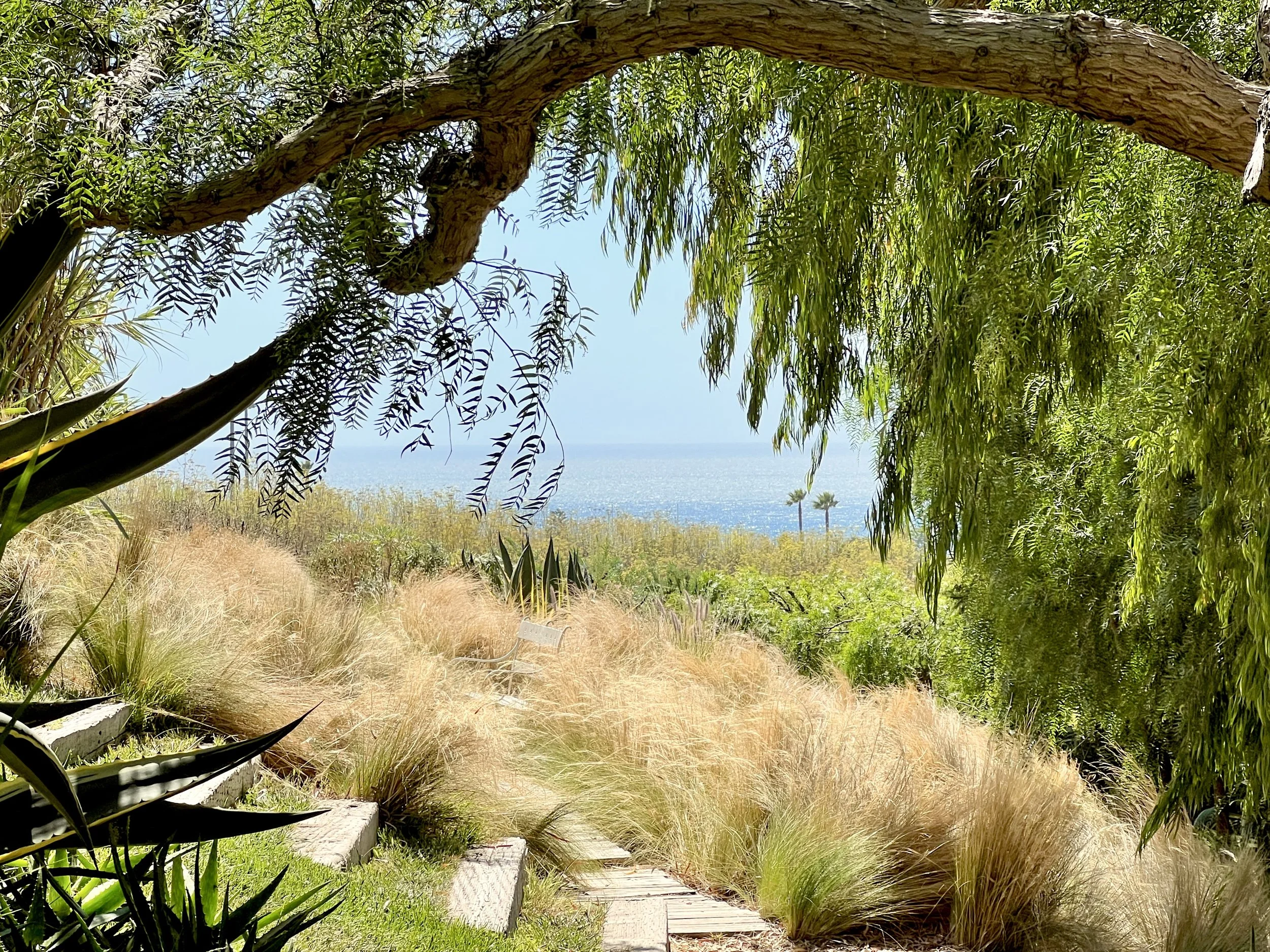 11-3f-Filmland - PCH Garden- Open Grounds - Nature.jpeg