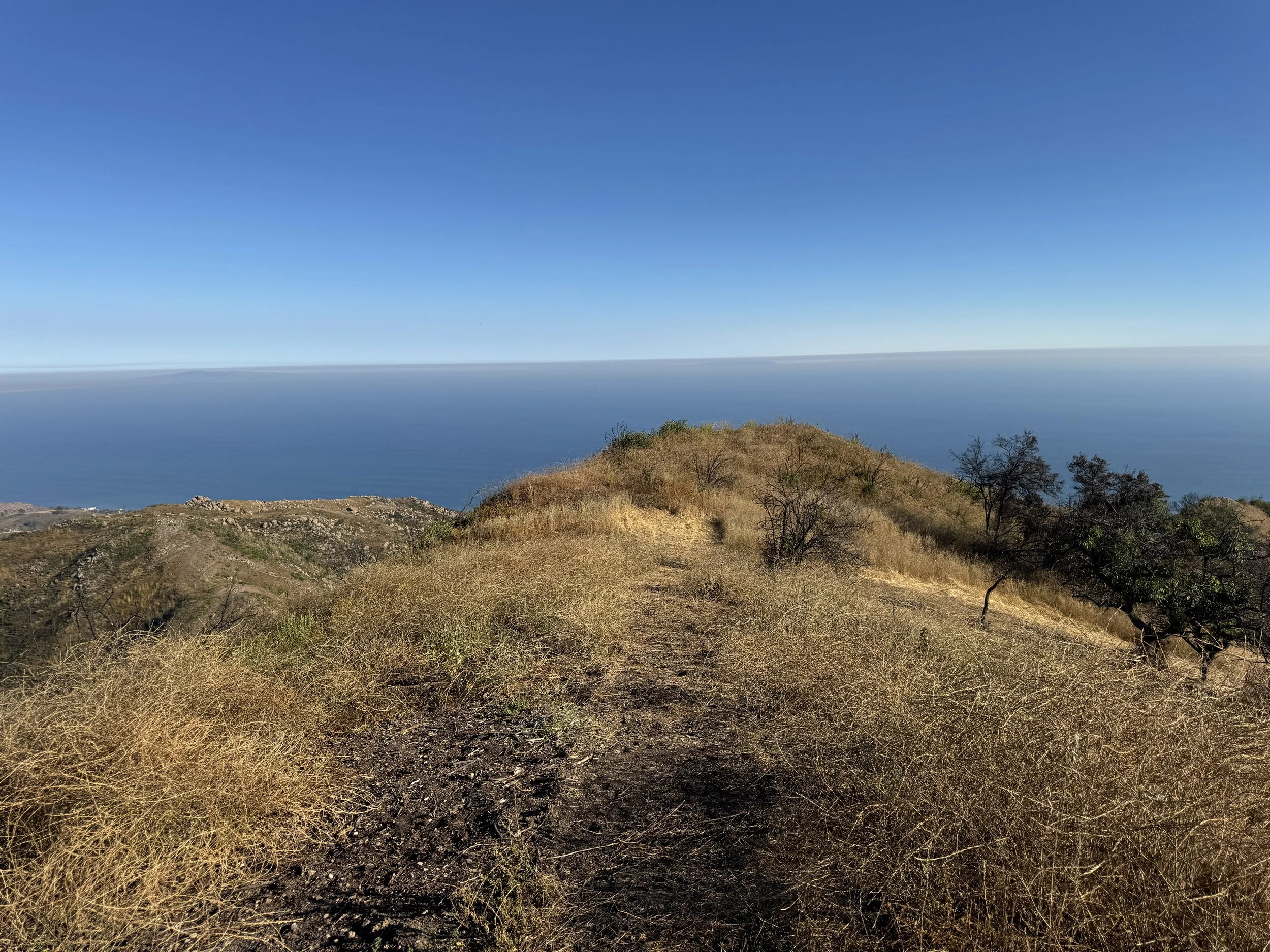 09-Filmland-Coastal Legacy House-9.JPG