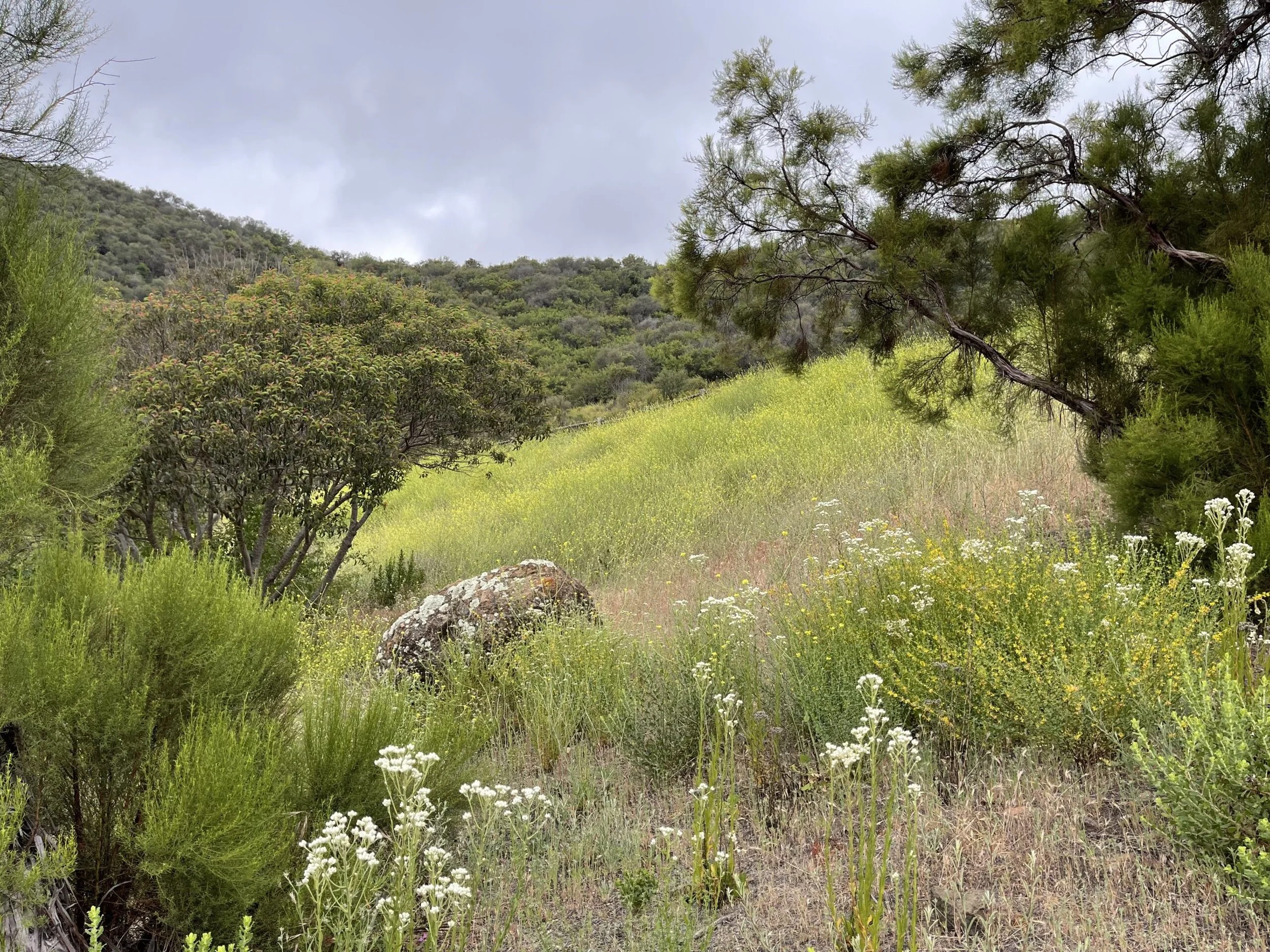 outdoor film location Los Angeles, exterior filming location 30-mile zone, ranch film location Los Angeles, open terrain film location LA, rolling hills filming location Southern California, automotive film location Los Angeles, aerial filming locati