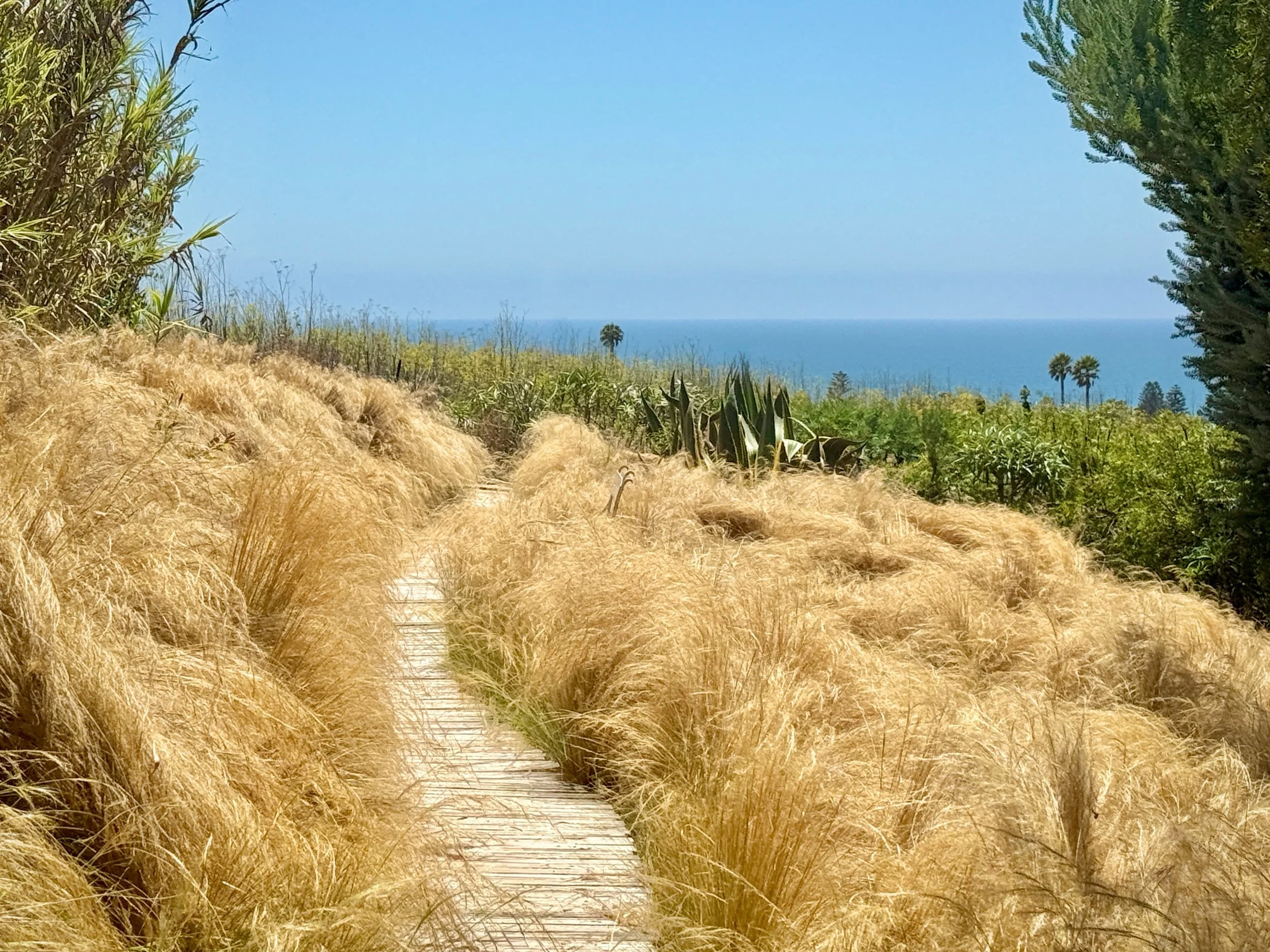 07-3d-Filmland - PCH Garden- Open Grounds - Nature.jpeg