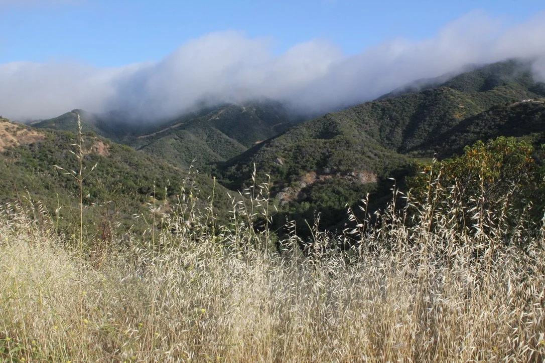 Filmland-Golden Summit-opengrounds-3cc.jpeg