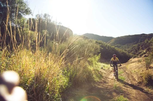 Filmland-Golden Summit-Sample-16.jpg