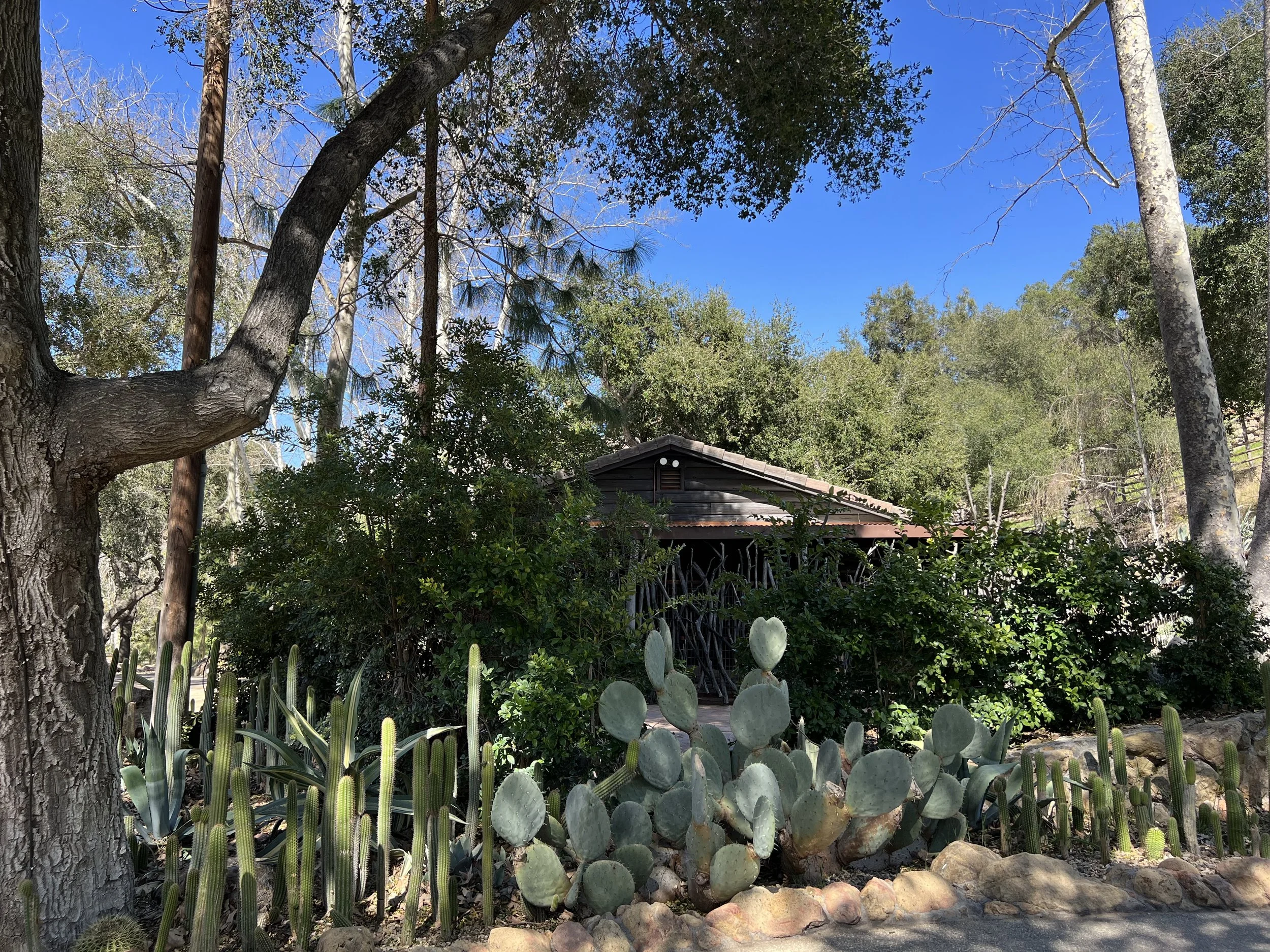 Filmland-Golden Summit-Cabin-23.jpeg