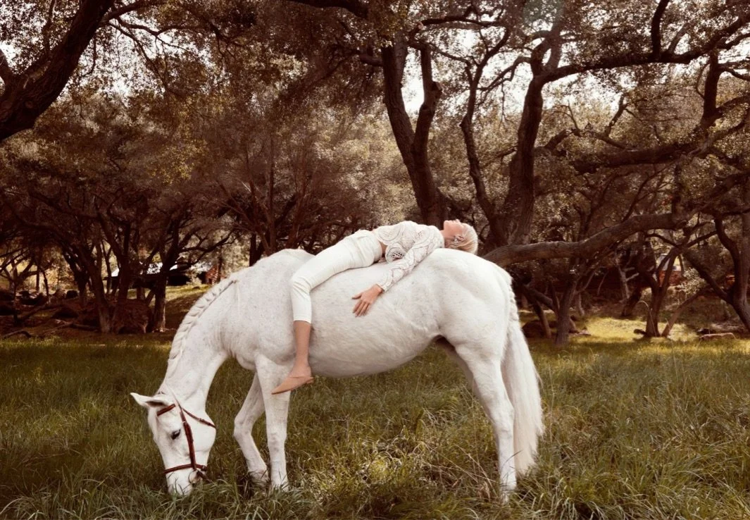 Filmland-Golden Summit-Sample-4.jpeg