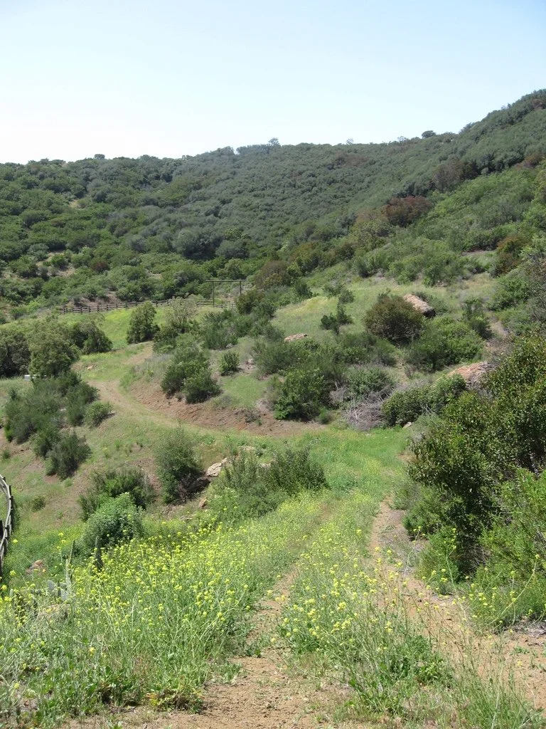 Filmland-Golden Summit-opengrounds-5dd.jpeg