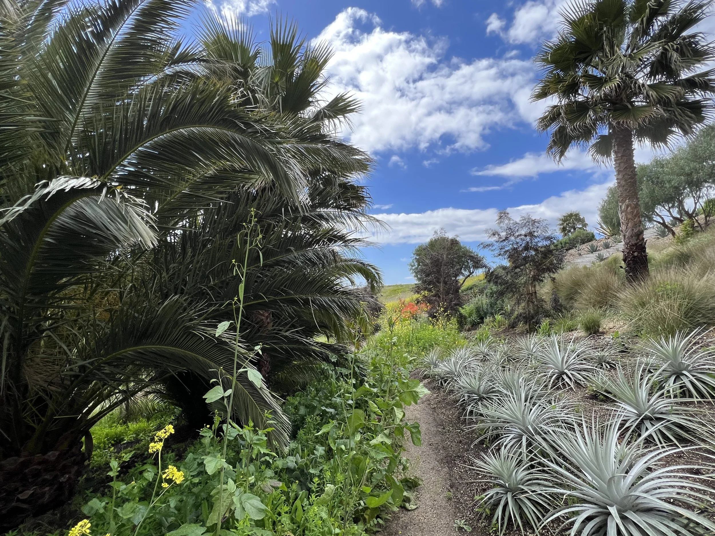 34-Filmland - PCH Garden- Open Grounds - Nature.jpeg