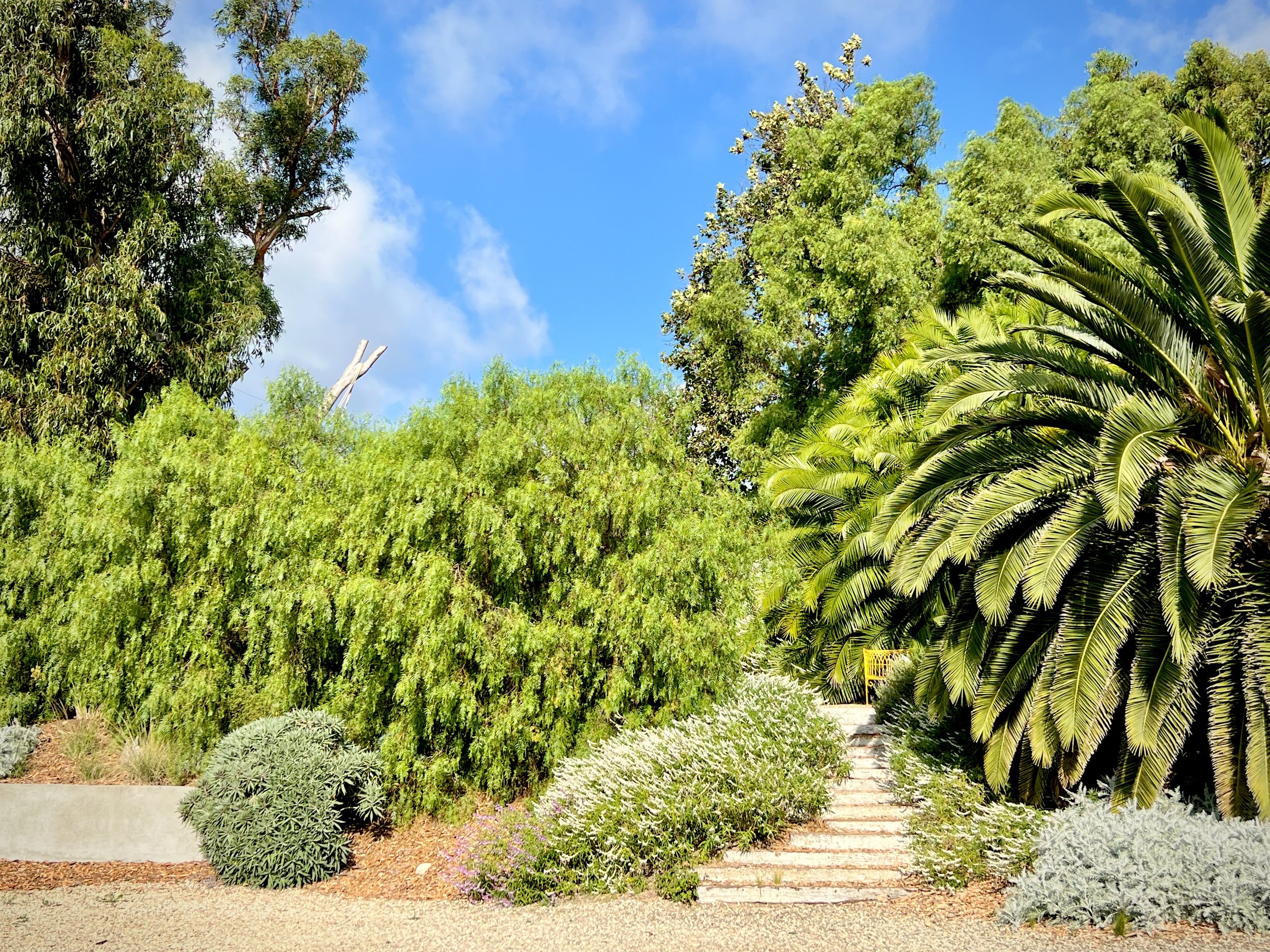 22-Filmland - PCH Garden.jpeg