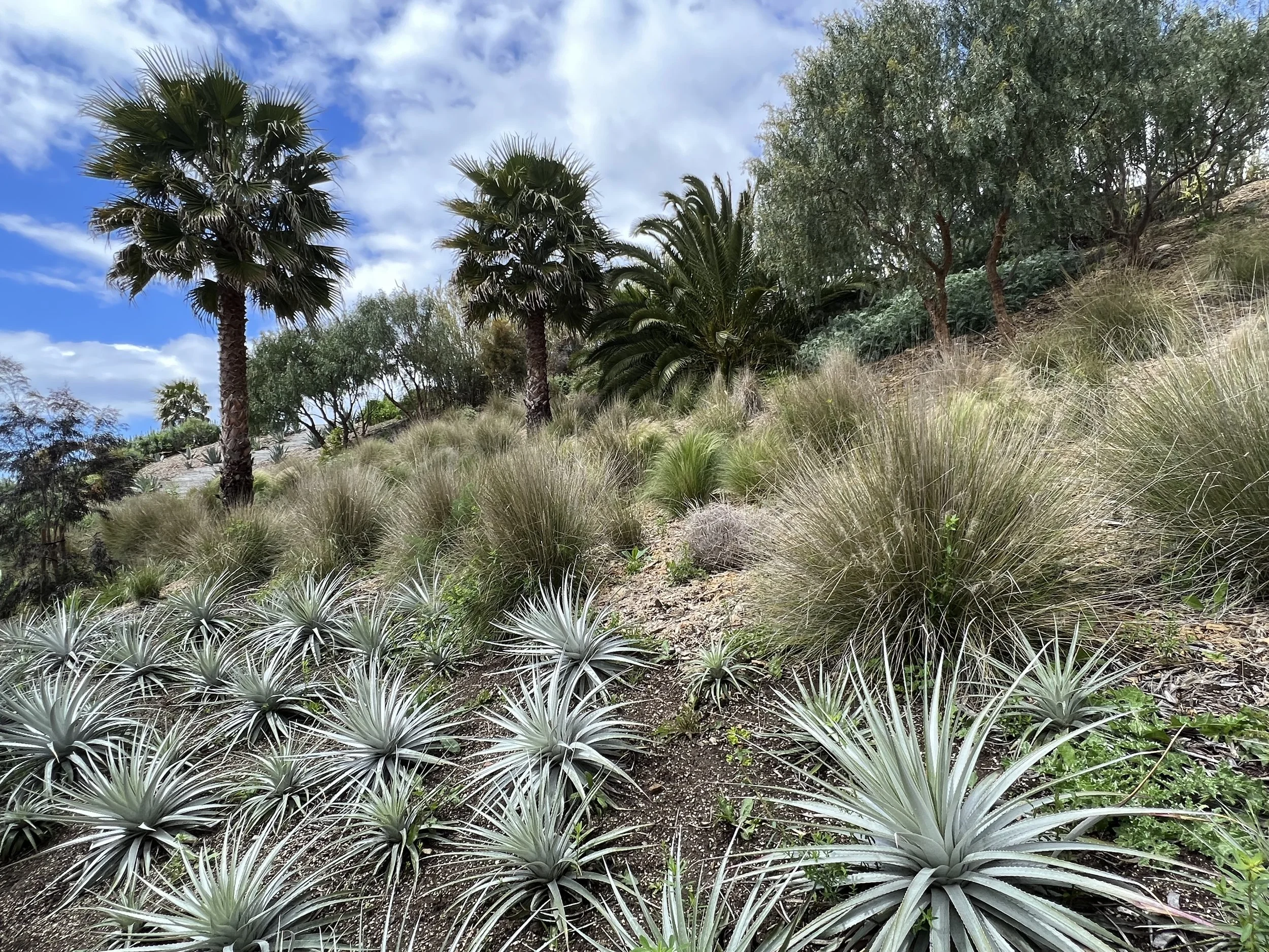 33-Filmland - PCH Garden- Open Grounds - Nature.jpeg