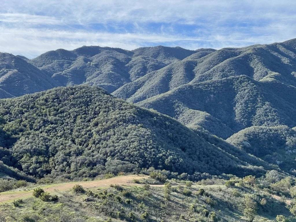 Filmland-Golden Summit-opengrounds-1ff.jpeg