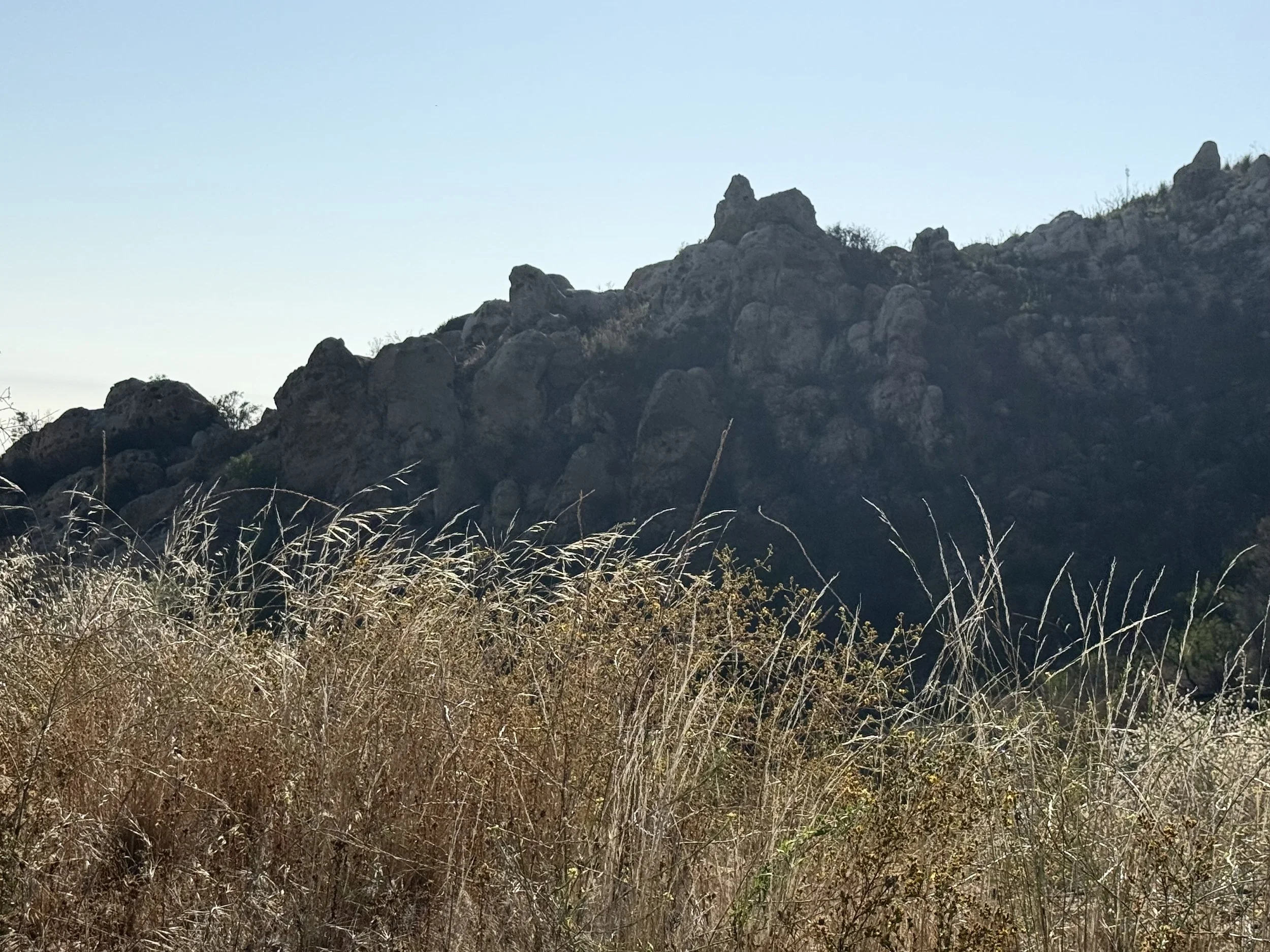 03-1-Filmland-Coastal Legacy House-Grounds-3.jpeg