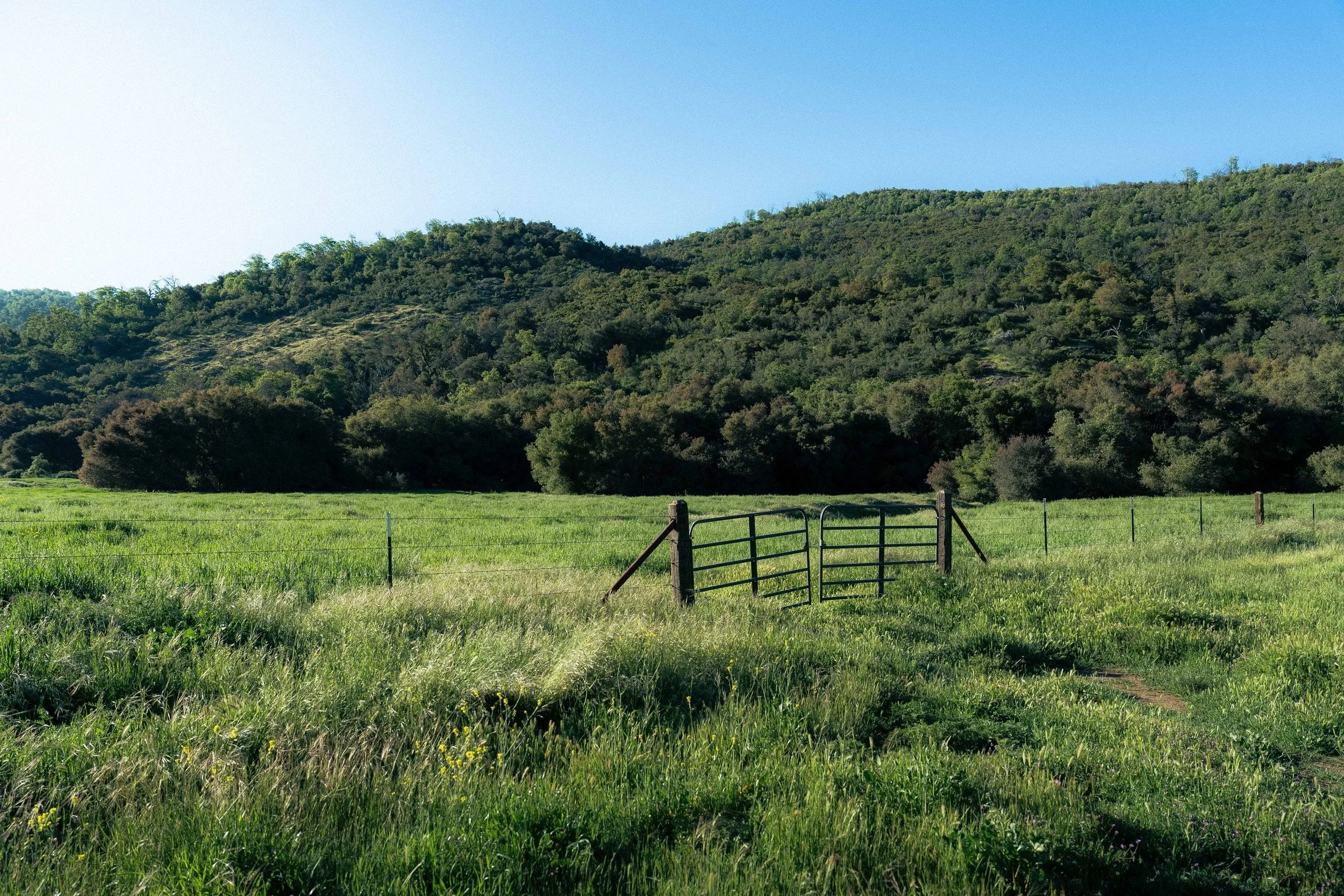 Filmland-RCRanch-landscape-2.JPG