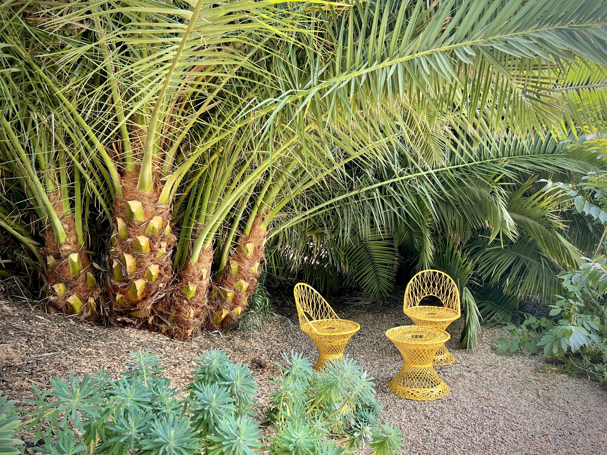 08-5a-Filmland - PCH Garden - Events.jpeg