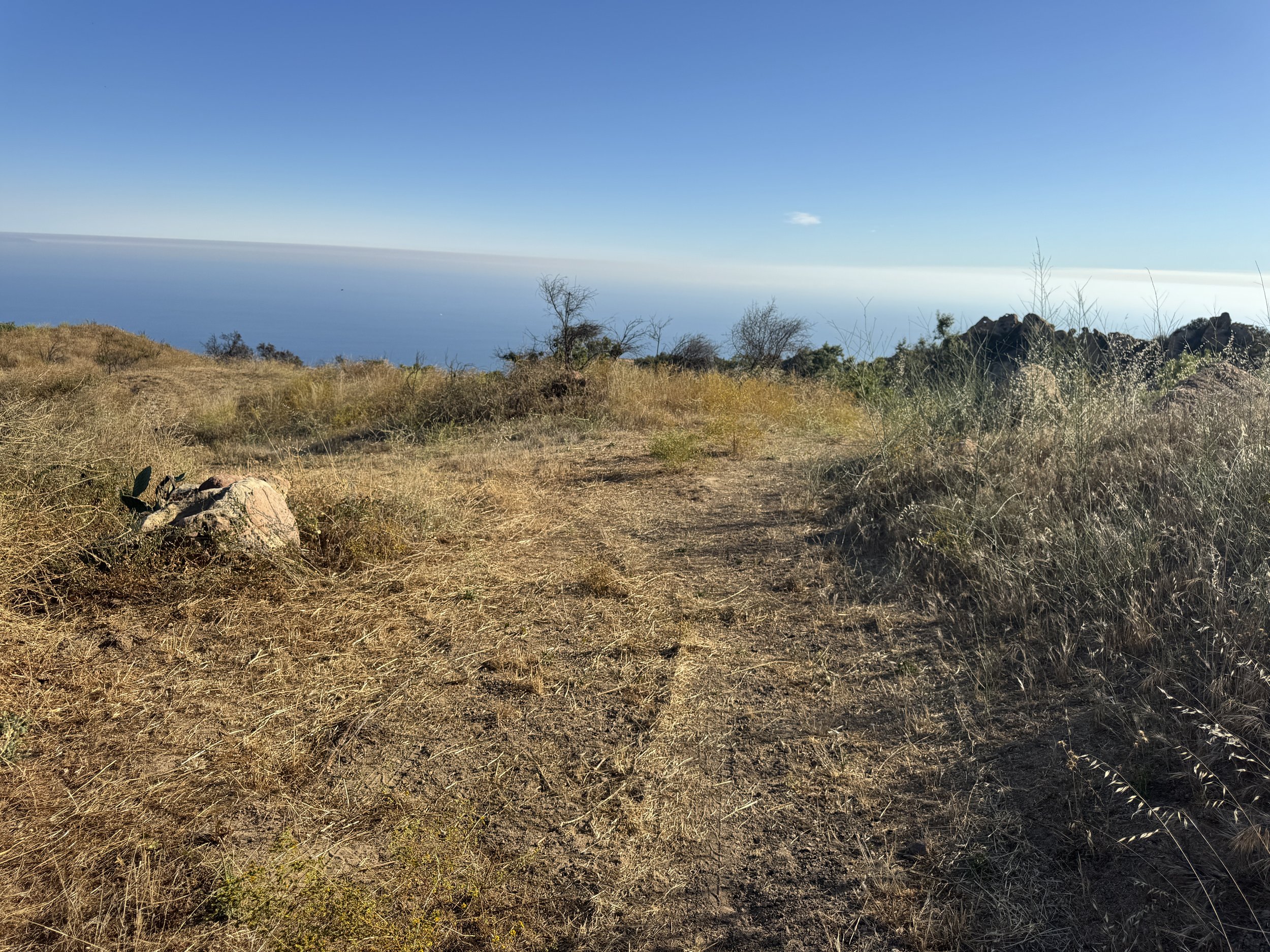 05-1-Filmland-Coastal Legacy House-Grounds-5.JPG