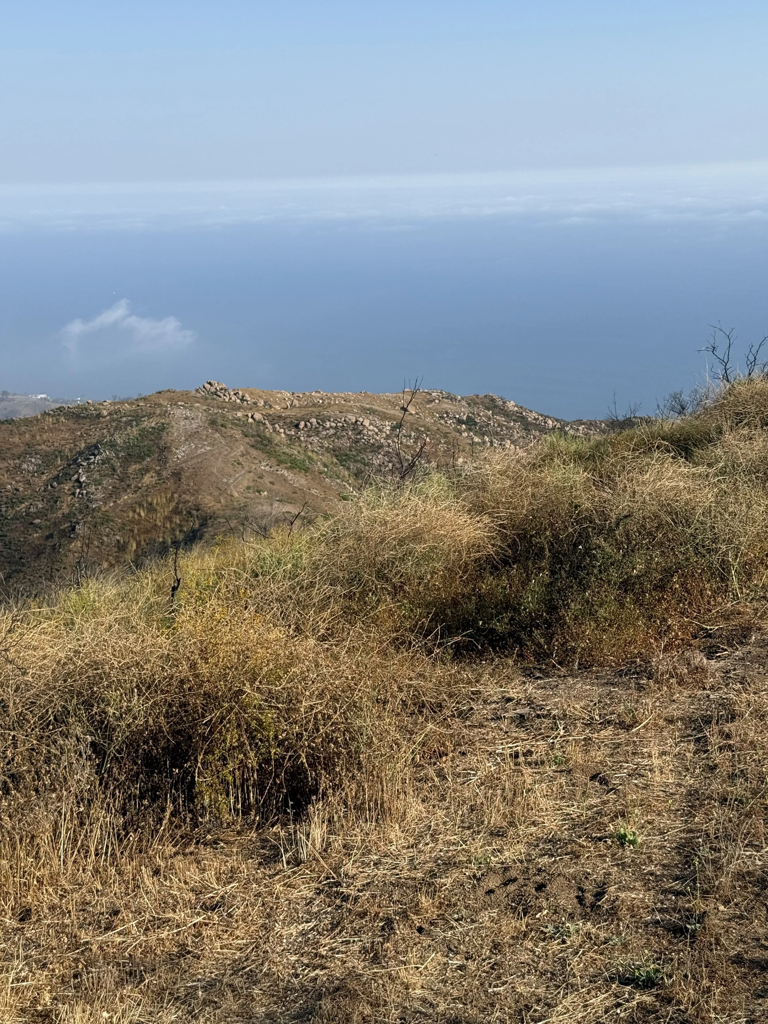 09-Filmland-Coastal Legacy House-Grounds-9.jpeg