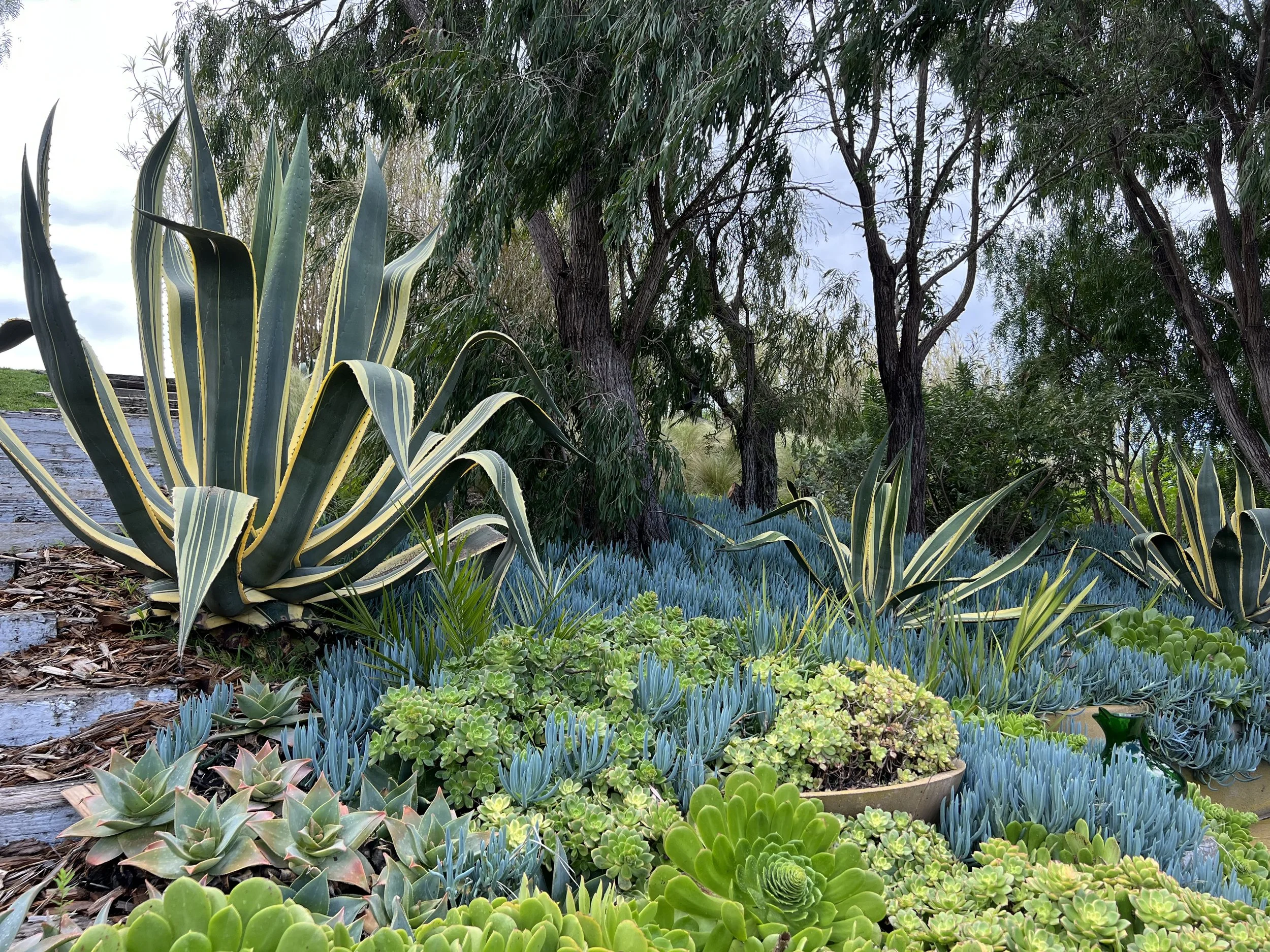 20-6a-Filmland - PCH Garden- Open Grounds - Nature.jpeg