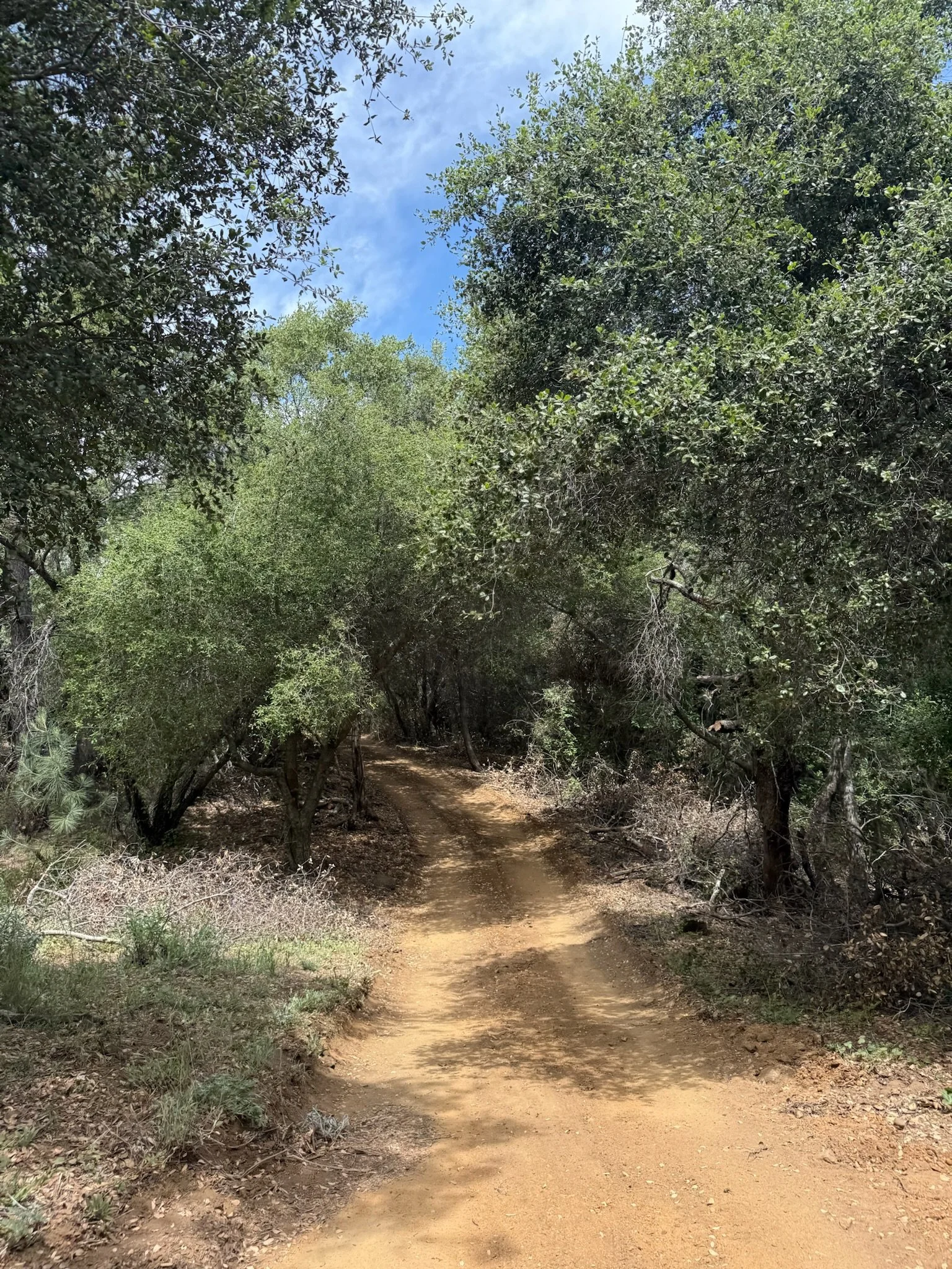 Filmland-RCRanch-landscape-trail-1.JPG