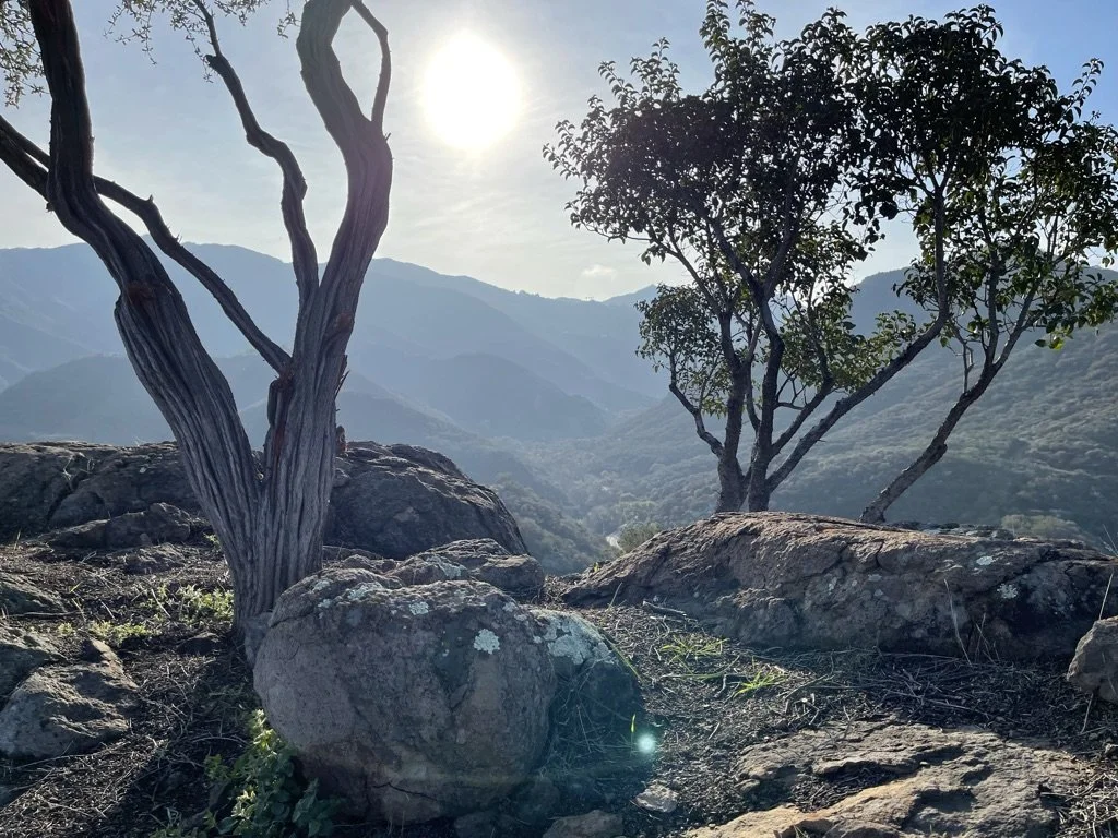 Filmland-Golden Summit-opengrounds-1eee.jpeg