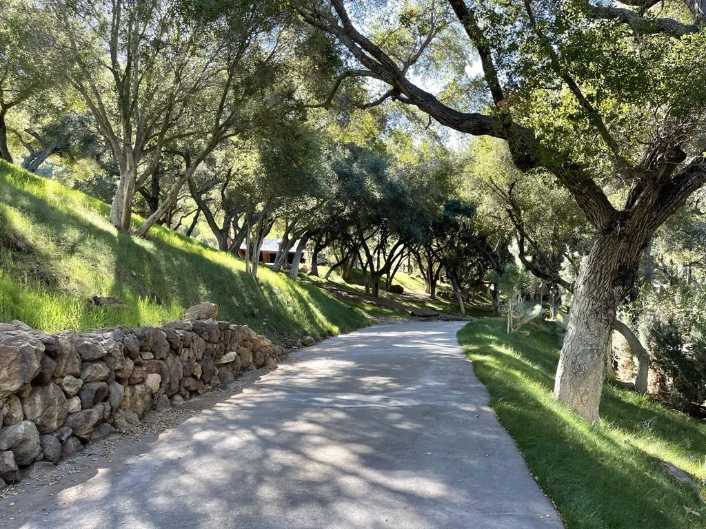 Filmland-Golden Summit-opengrounds-6c.jpeg