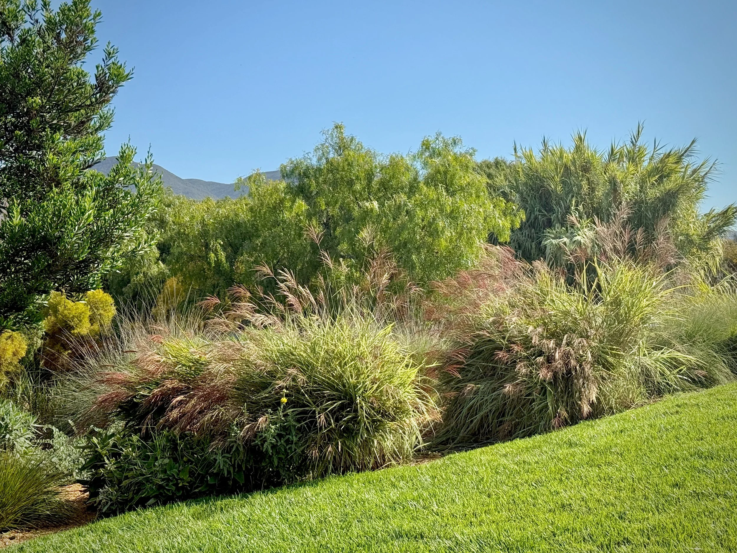 25-Filmland - PCH Garden- Open Grounds - Nature.jpeg