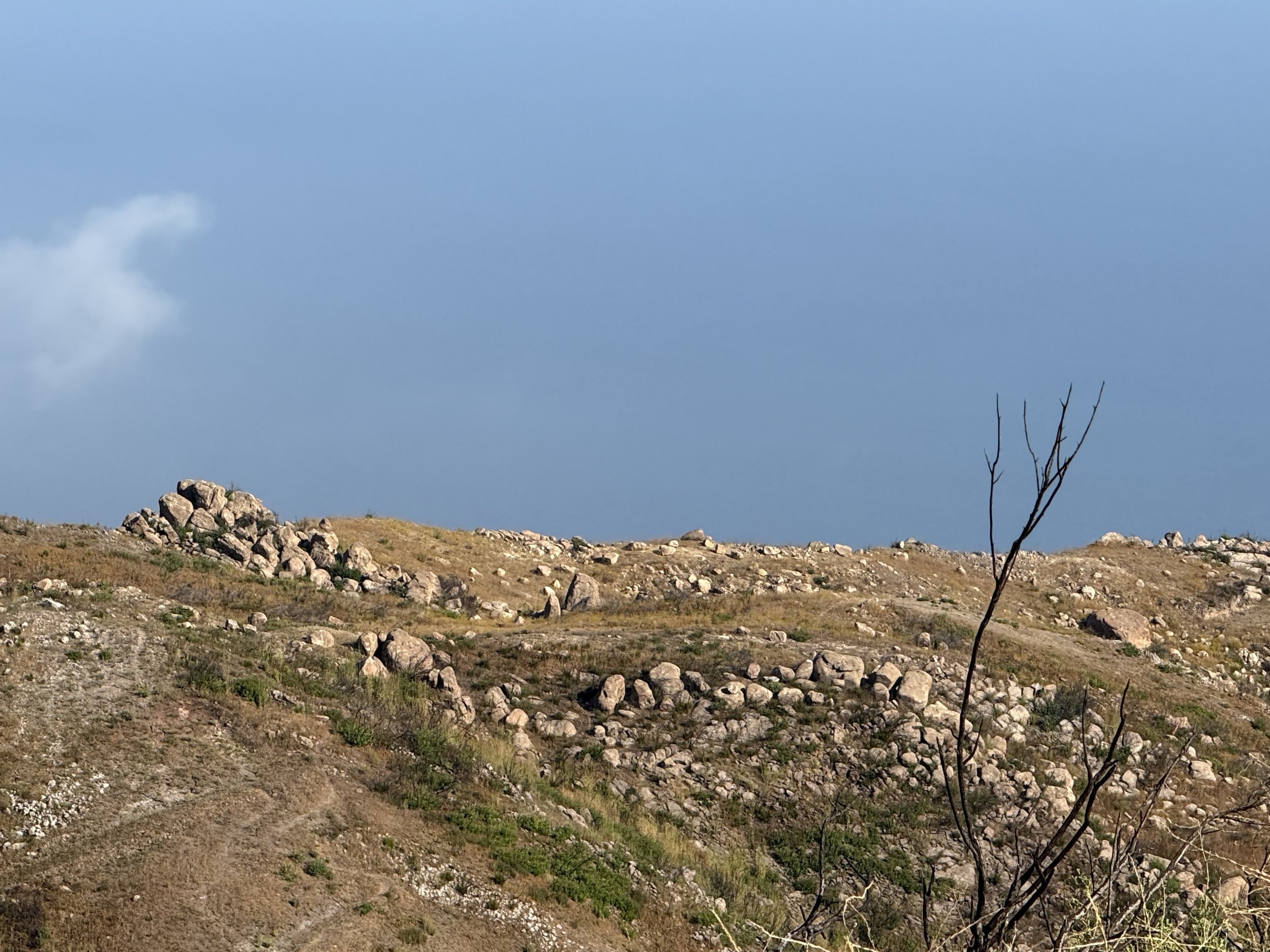 04-1-Filmland-Coastal Legacy House-Grounds-4.jpeg