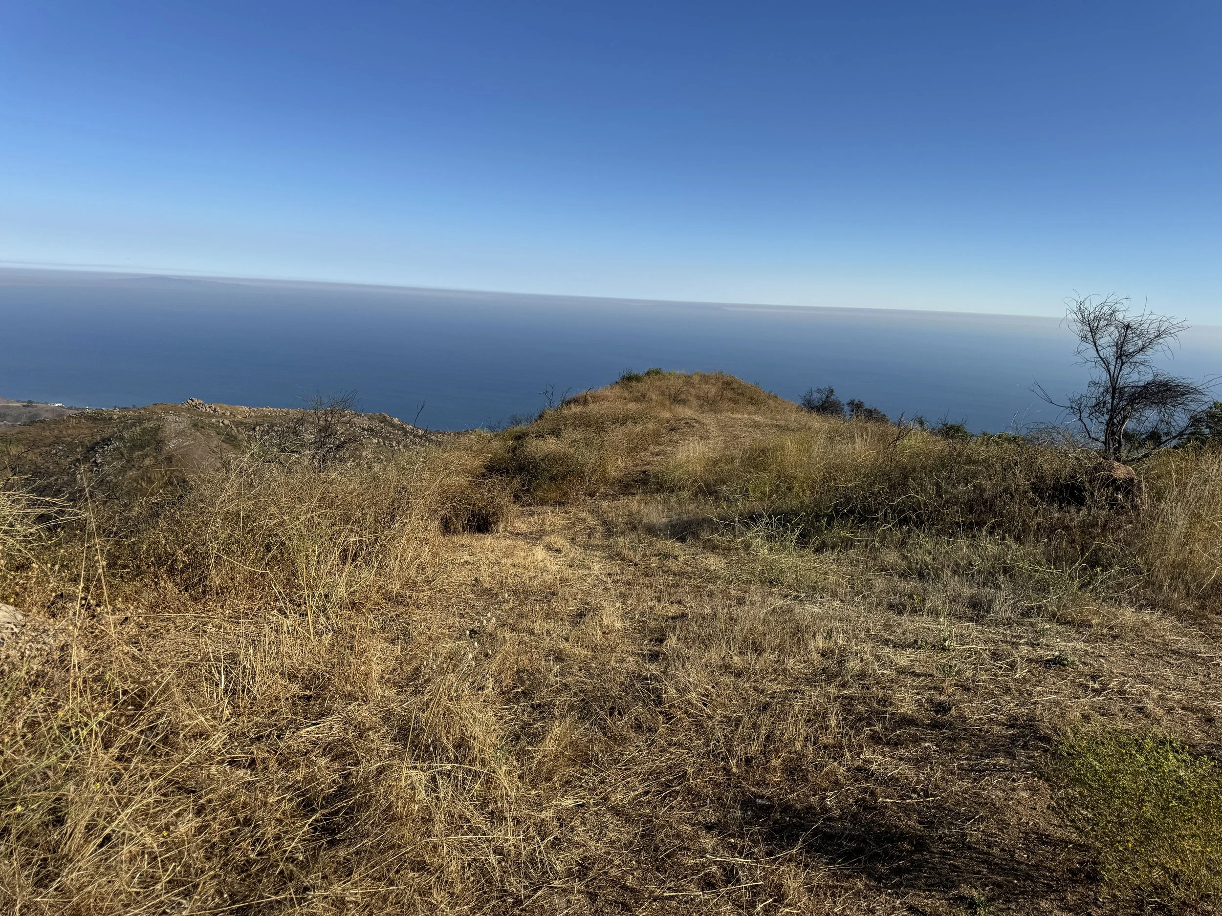 01-3Filmland-Coastal Legacy House-Grounds-1.JPG