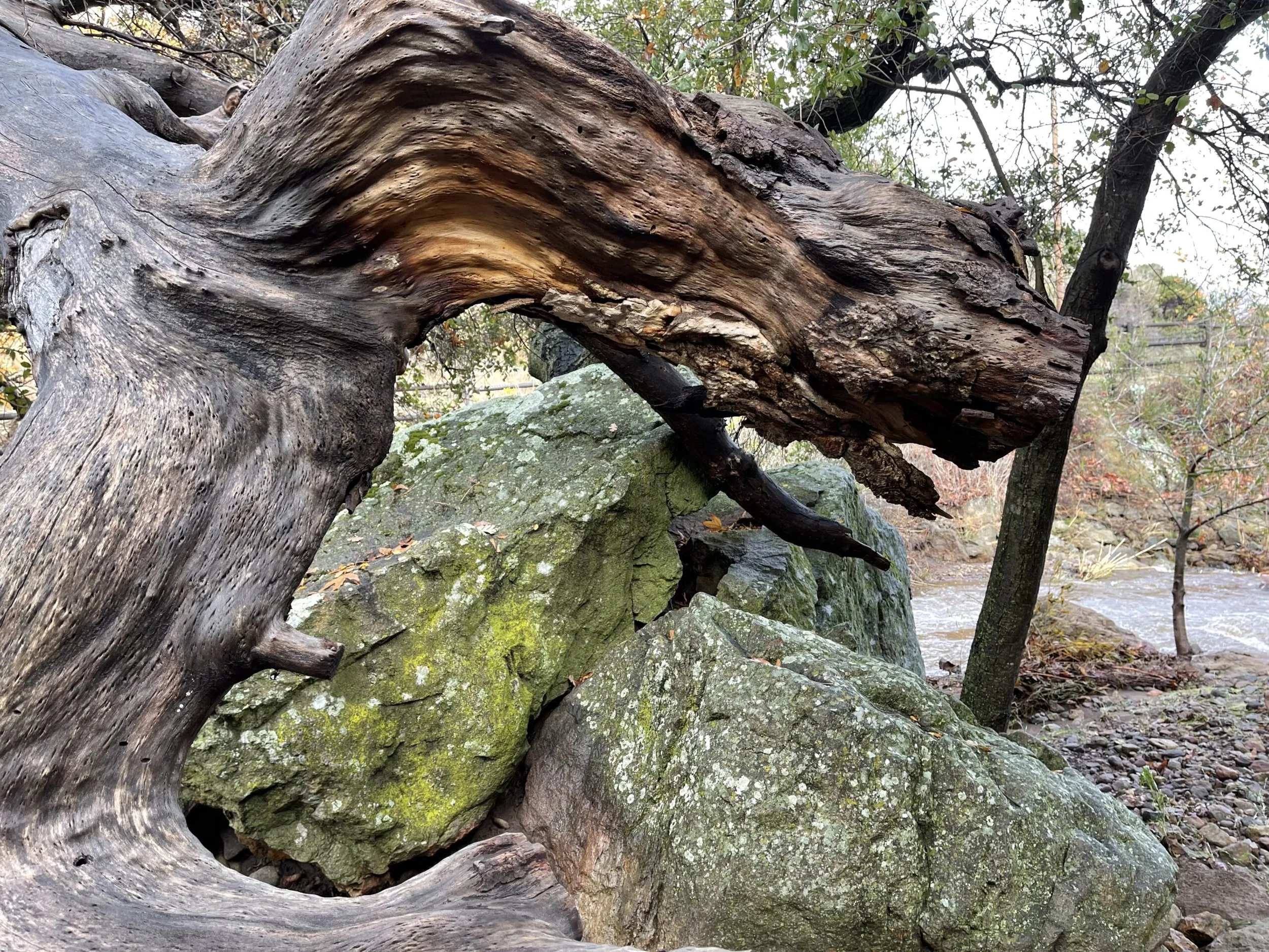 Filmland-Golden Summit-opengrounds-7e.jpeg