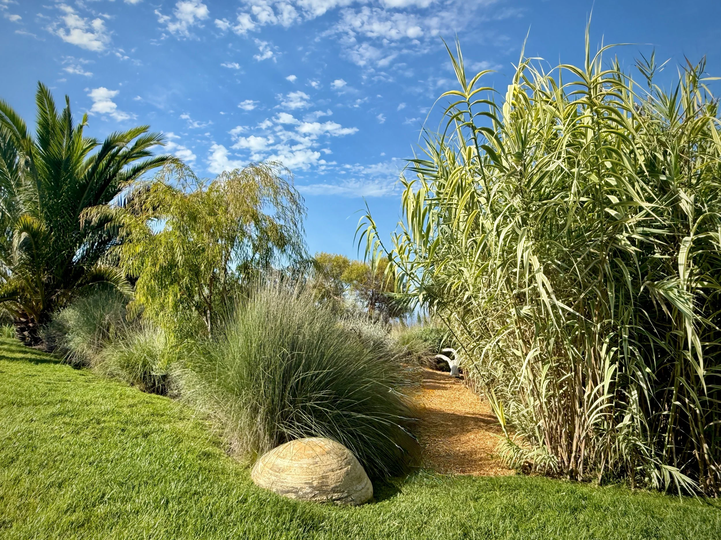 24-Filmland - PCH Garden- Open Grounds - Nature.jpeg