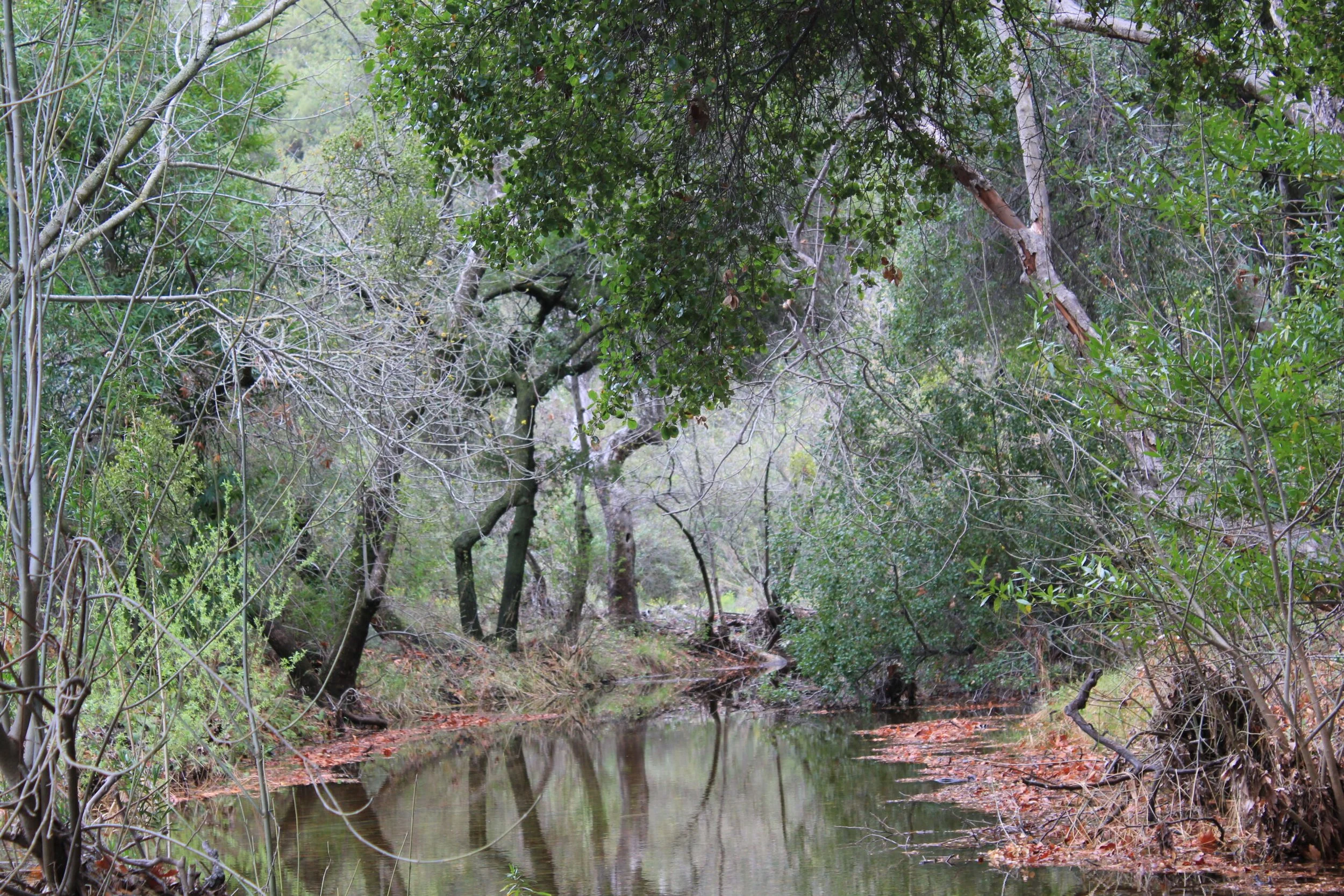 Filmland-Golden Summit-opengrounds-8a.jpg