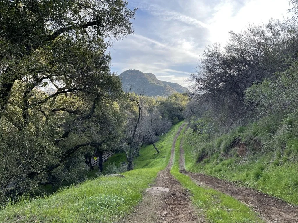 Filmland-Golden Summit-opengrounds-1fff.jpeg