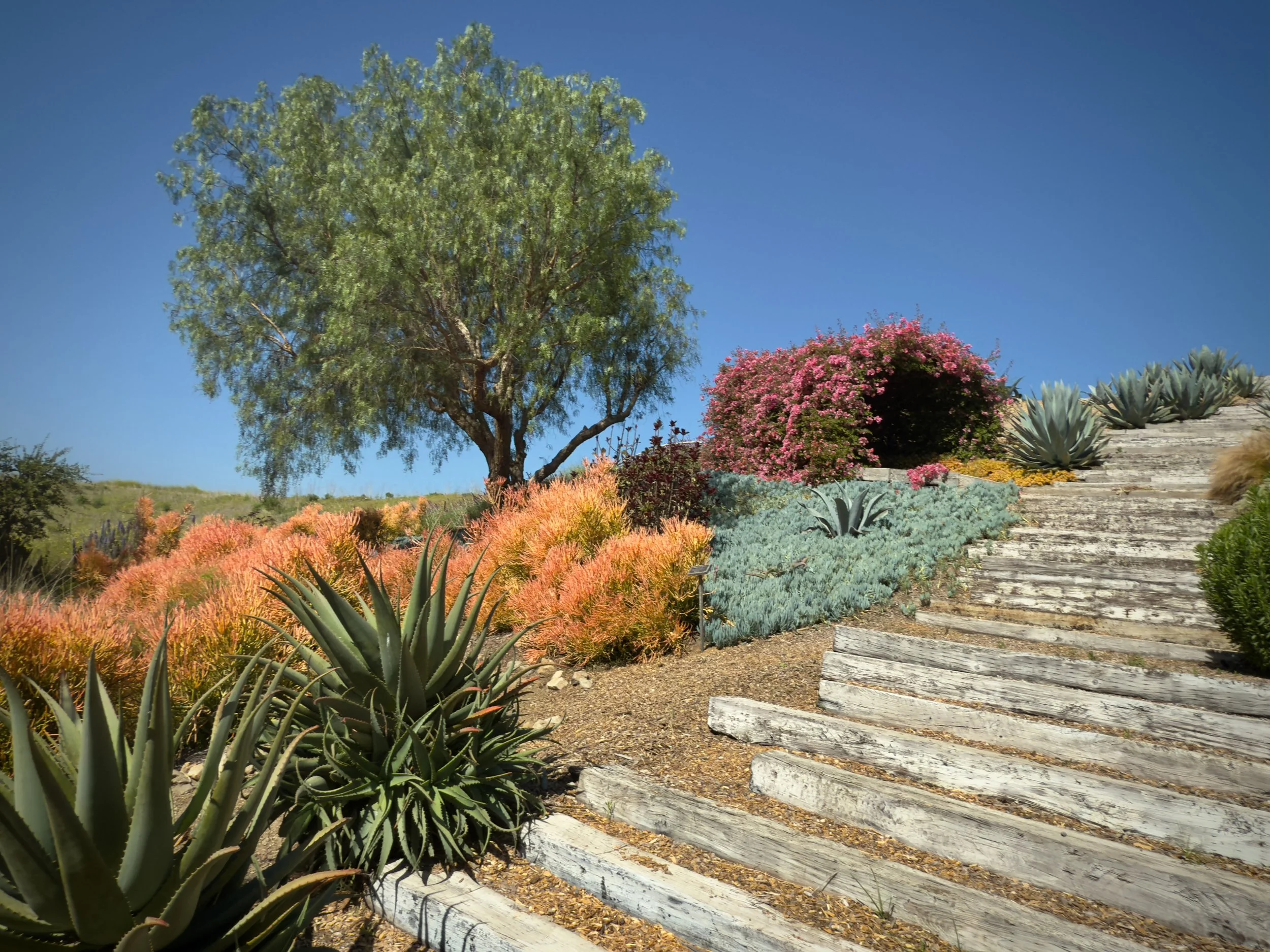 09-2c-Filmland - PCH Garden.jpeg