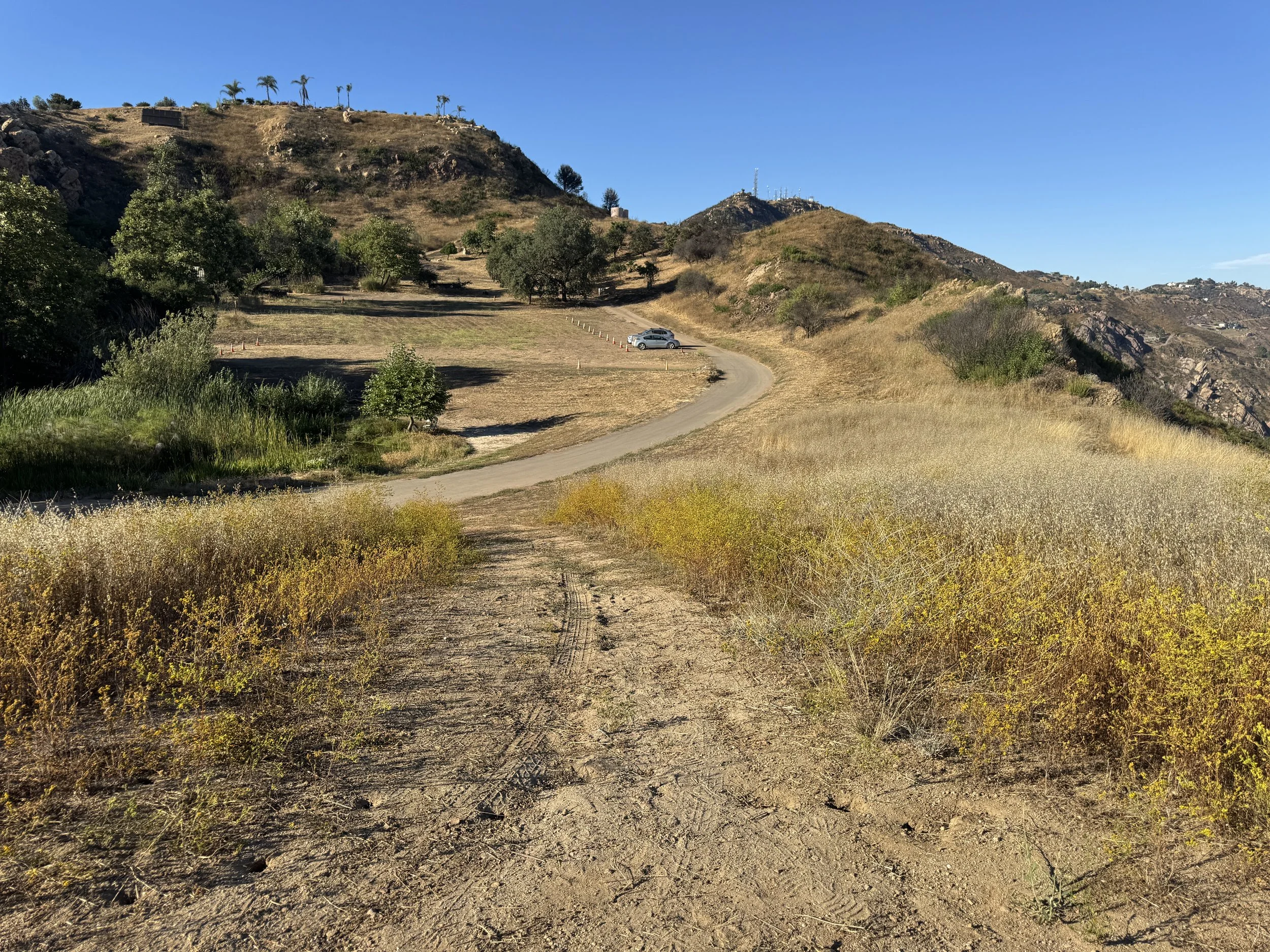 16-Filmland-Coastal Legacy House-Grounds-16.JPG