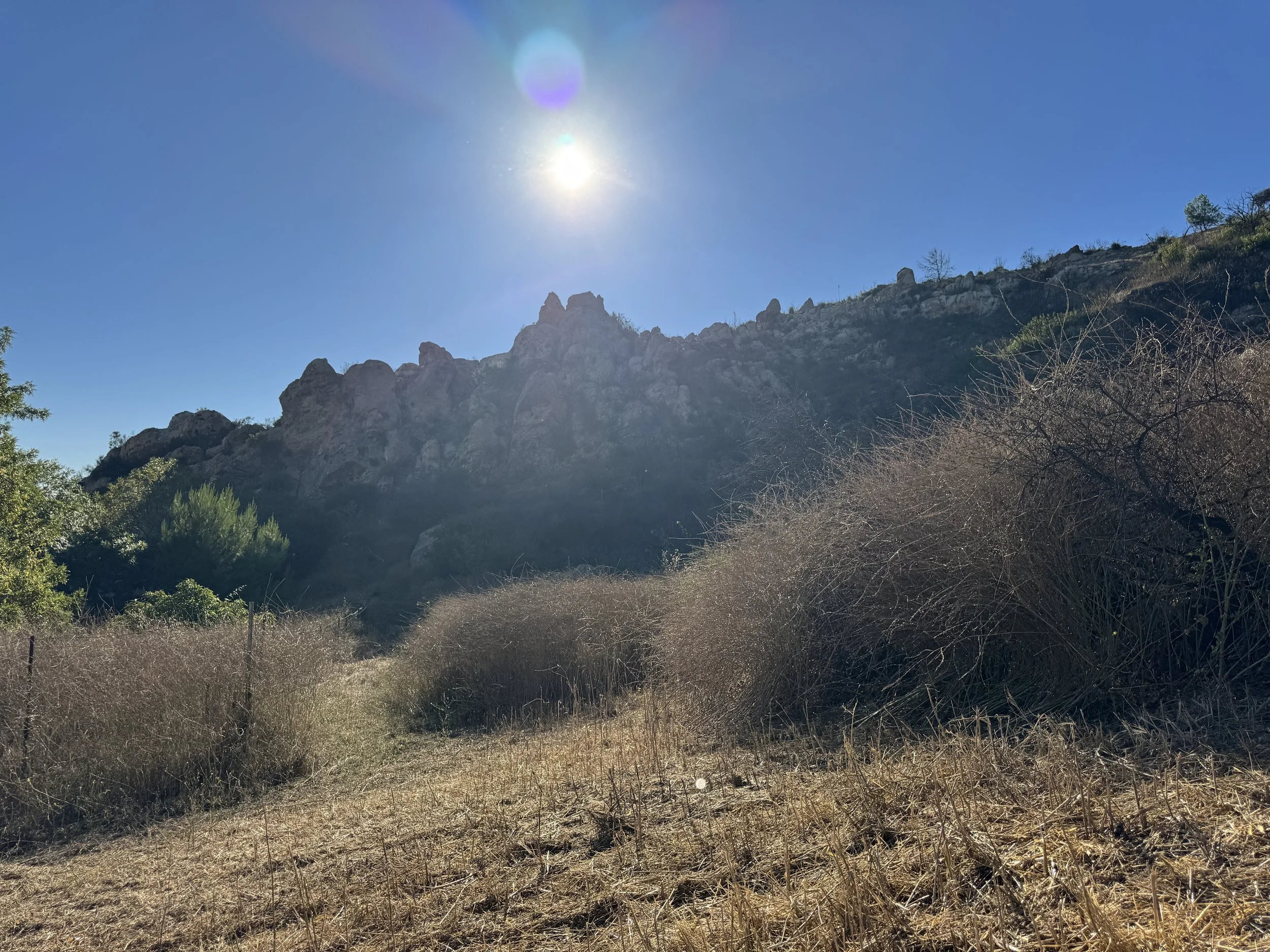 12-Filmland-Coastal Legacy House-Grounds-12.JPG