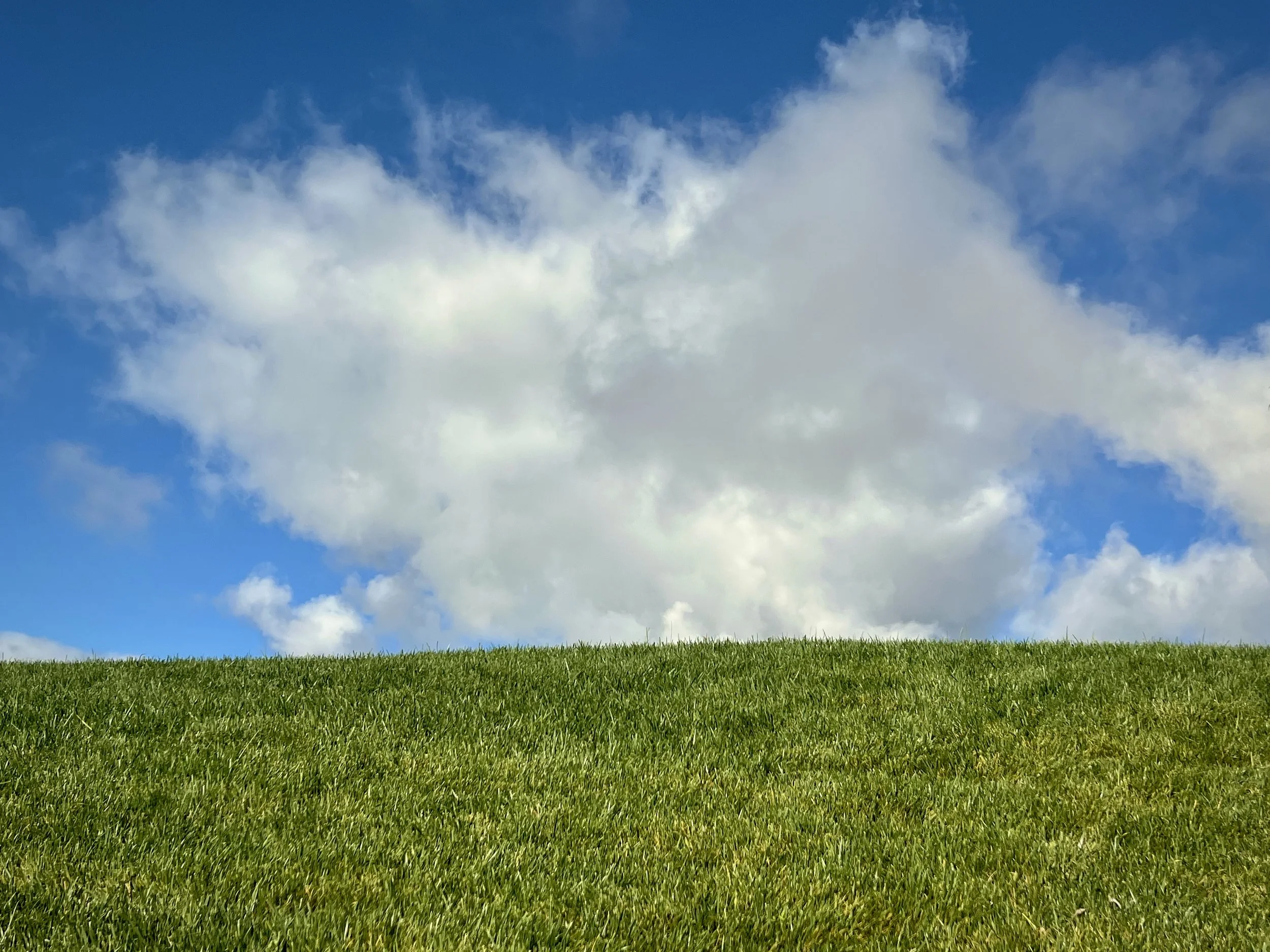28-10c-Filmland - PCH Garden- Open Grounds - Nature.jpeg