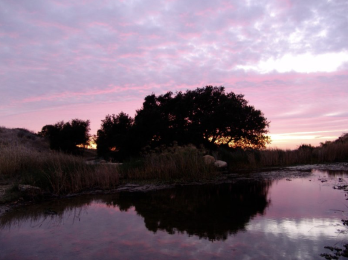 06-2-Filmland-Coastal Legacy House-Grounds-6.png