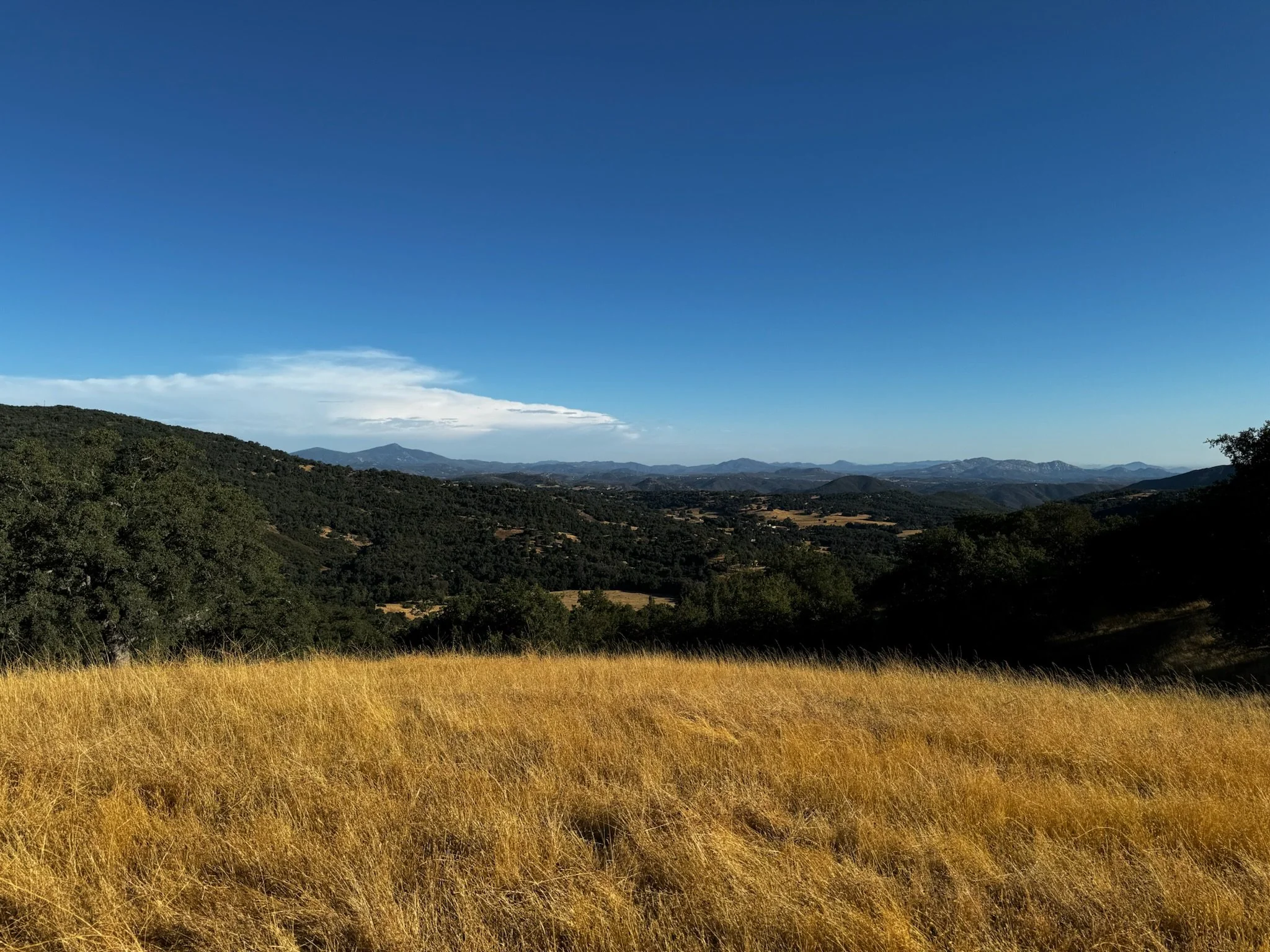 Filmland-RCRanch-landscape-1.JPG
