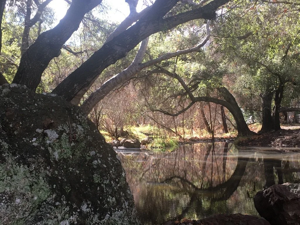 Filmland-Golden Summit-opengrounds-7.jpeg