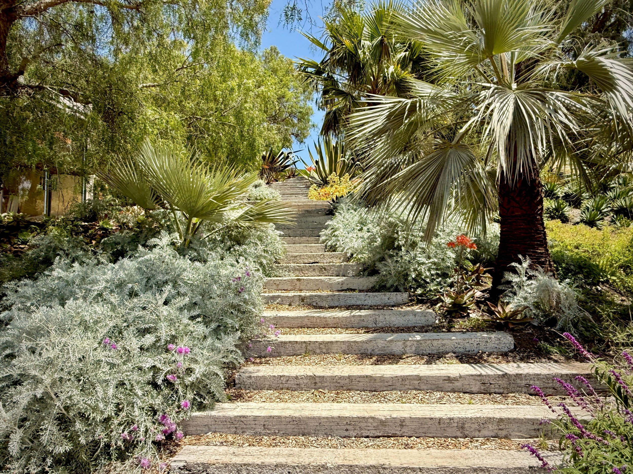 11-7a-Filmland - PCH Garden - Events.jpeg